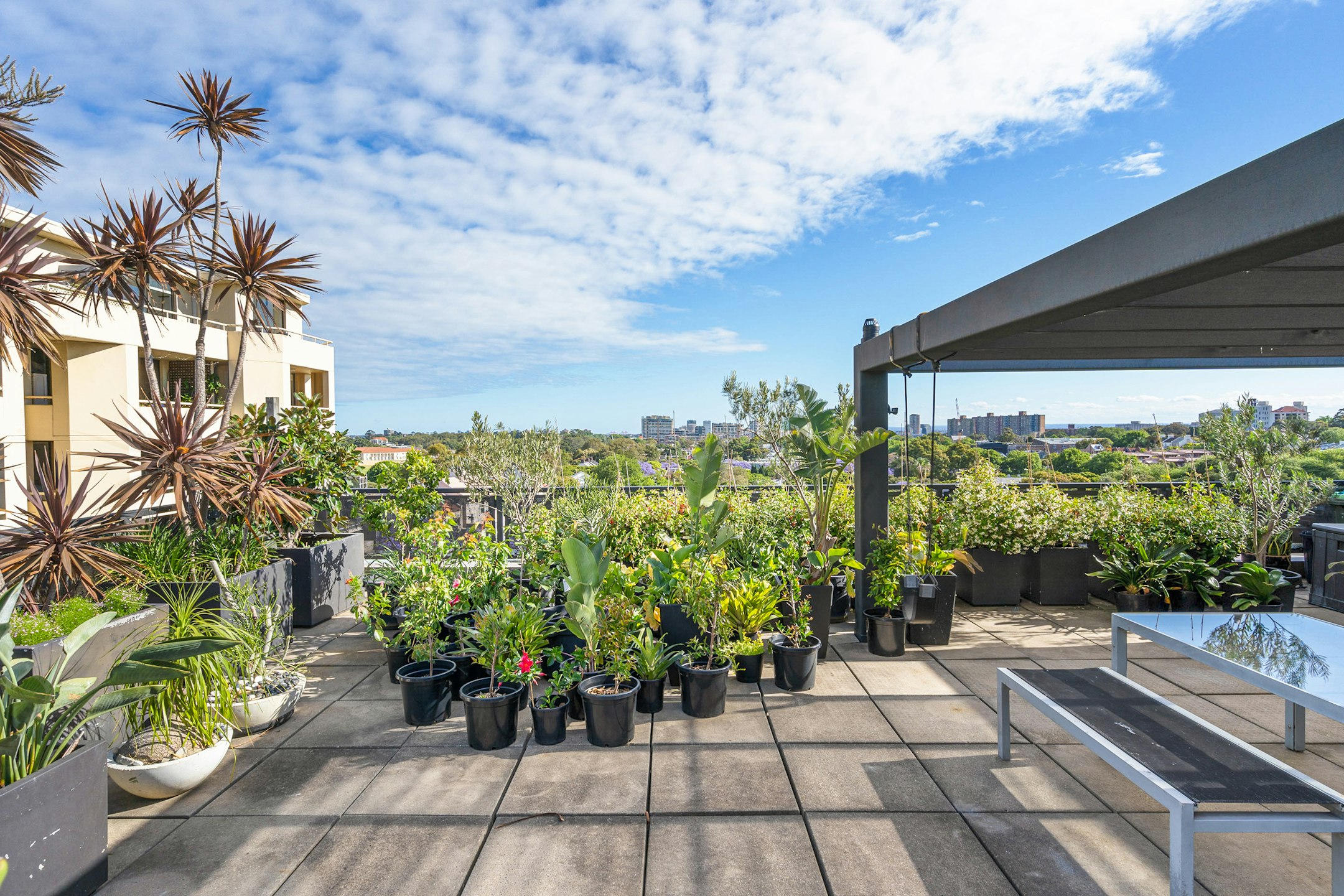 garden