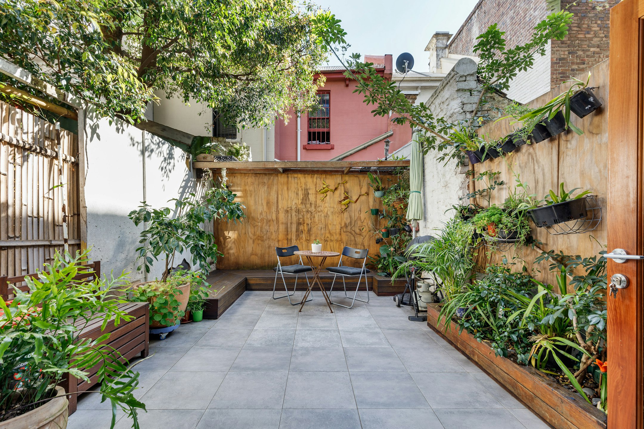 backyard