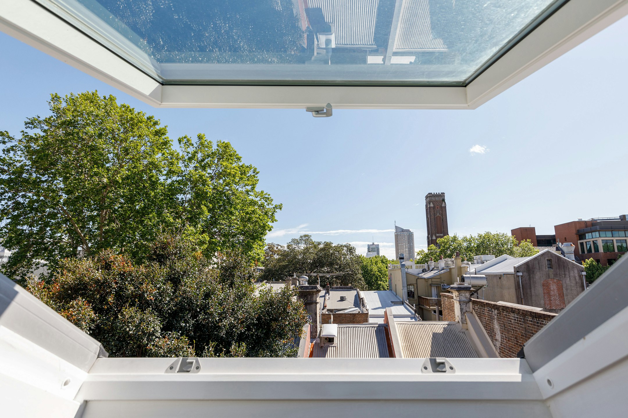 window