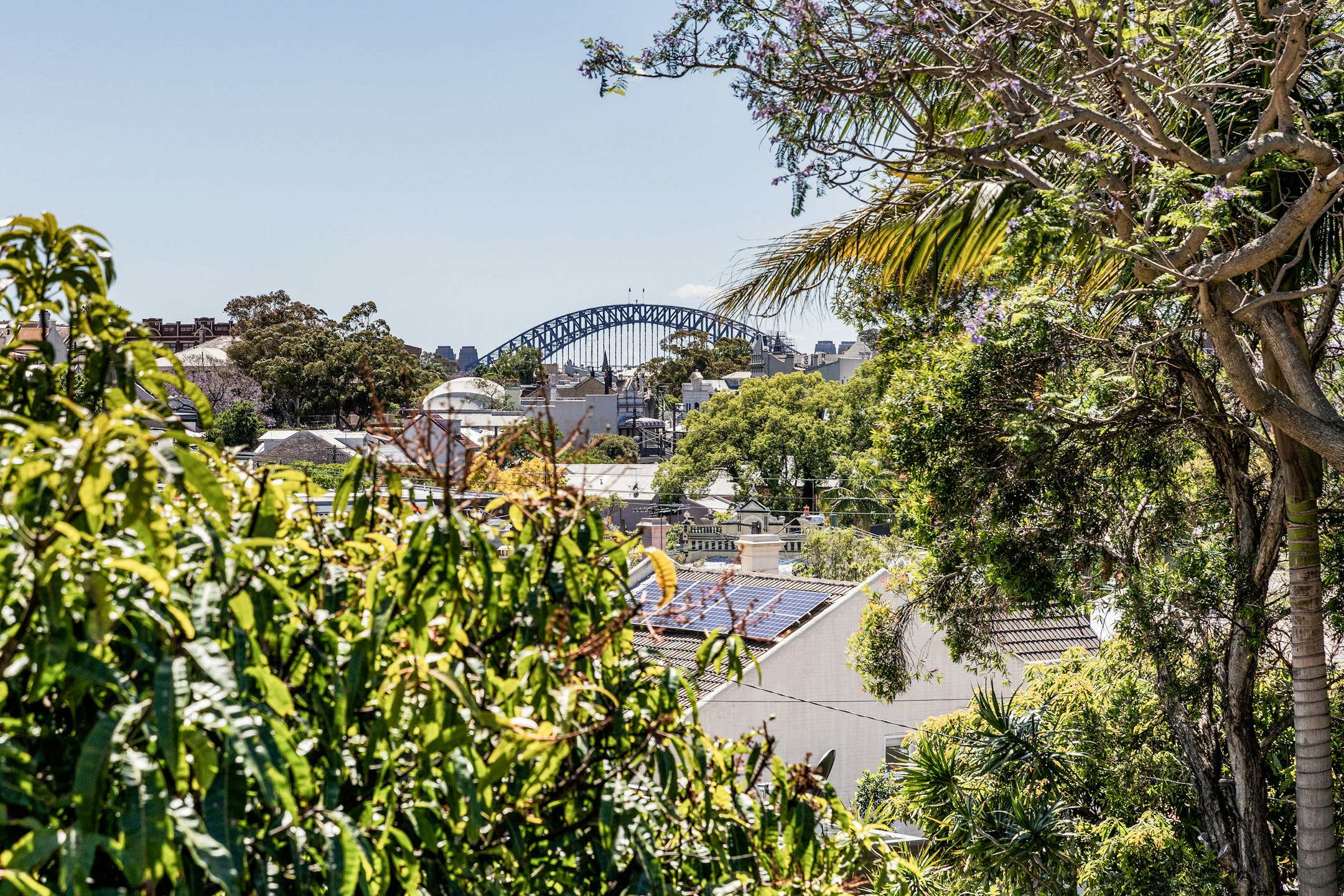 arbour