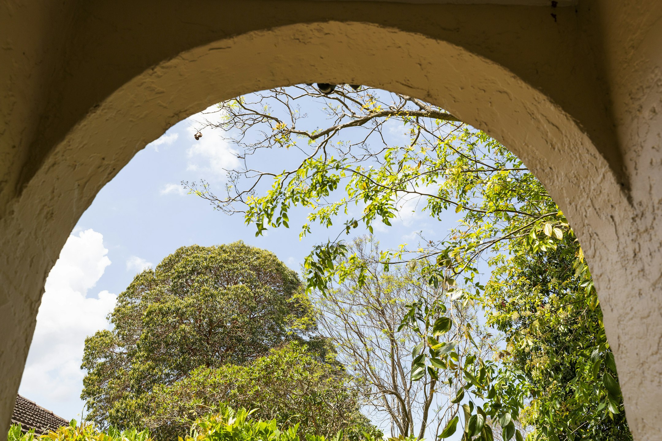 arch