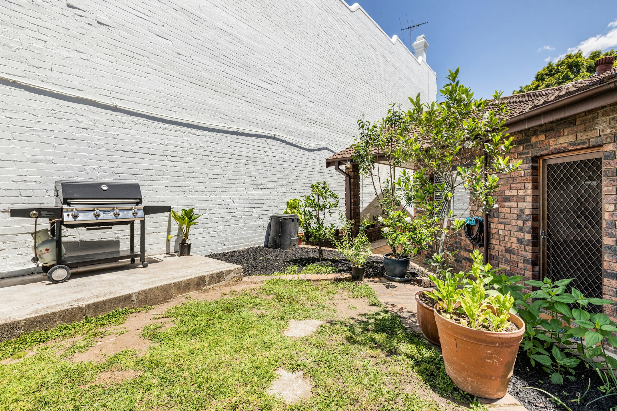 backyard