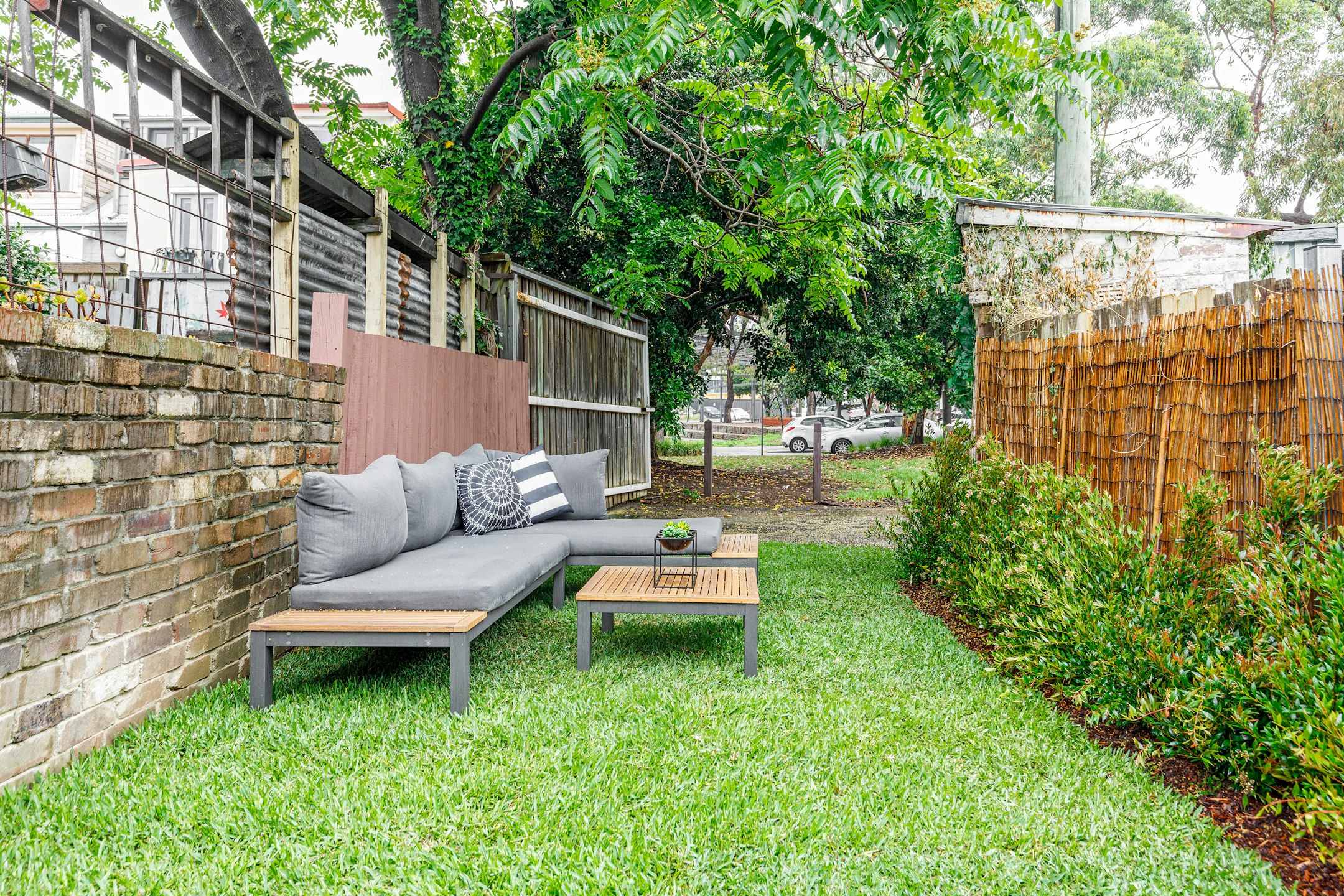 backyard