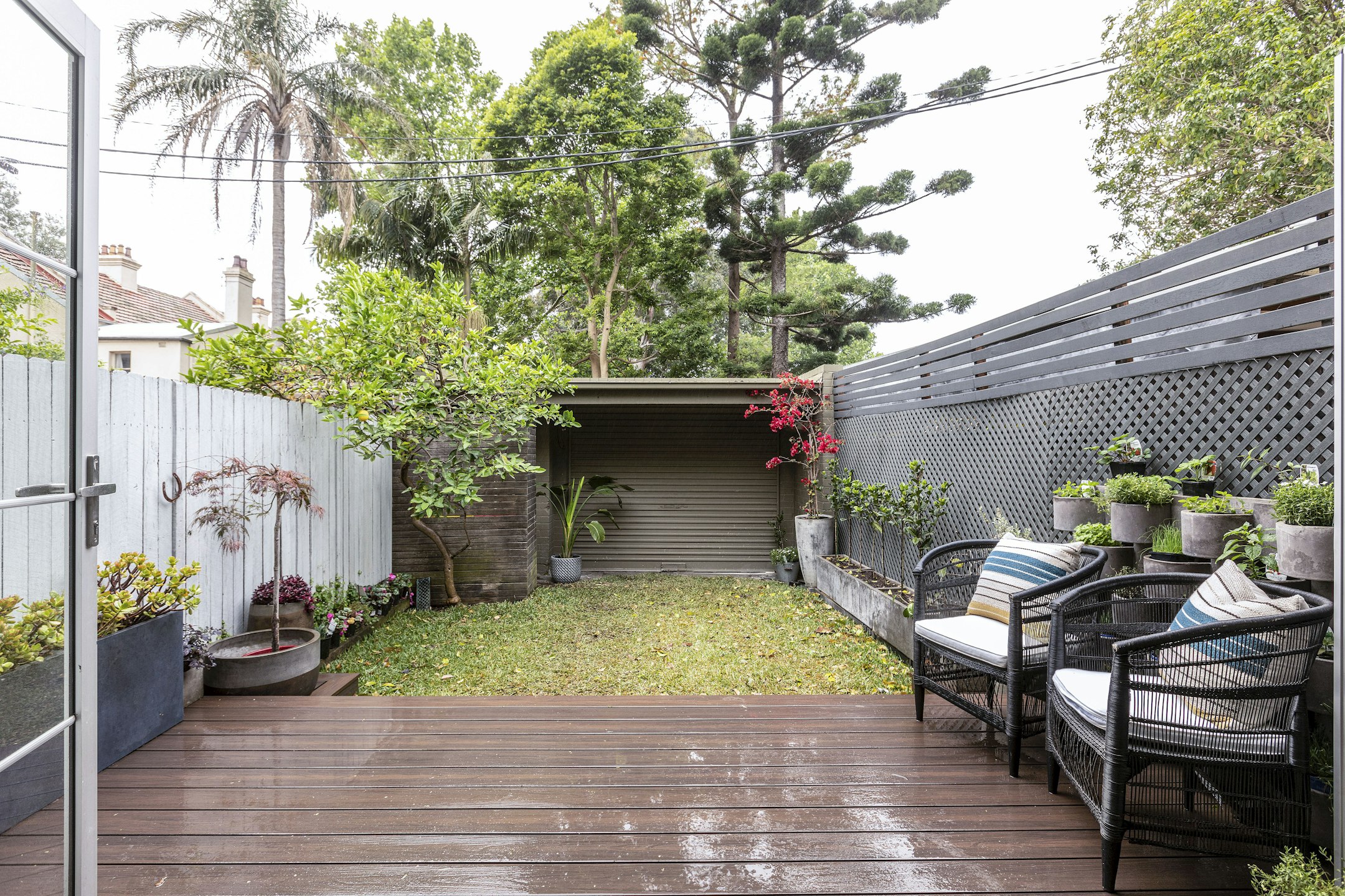 backyard