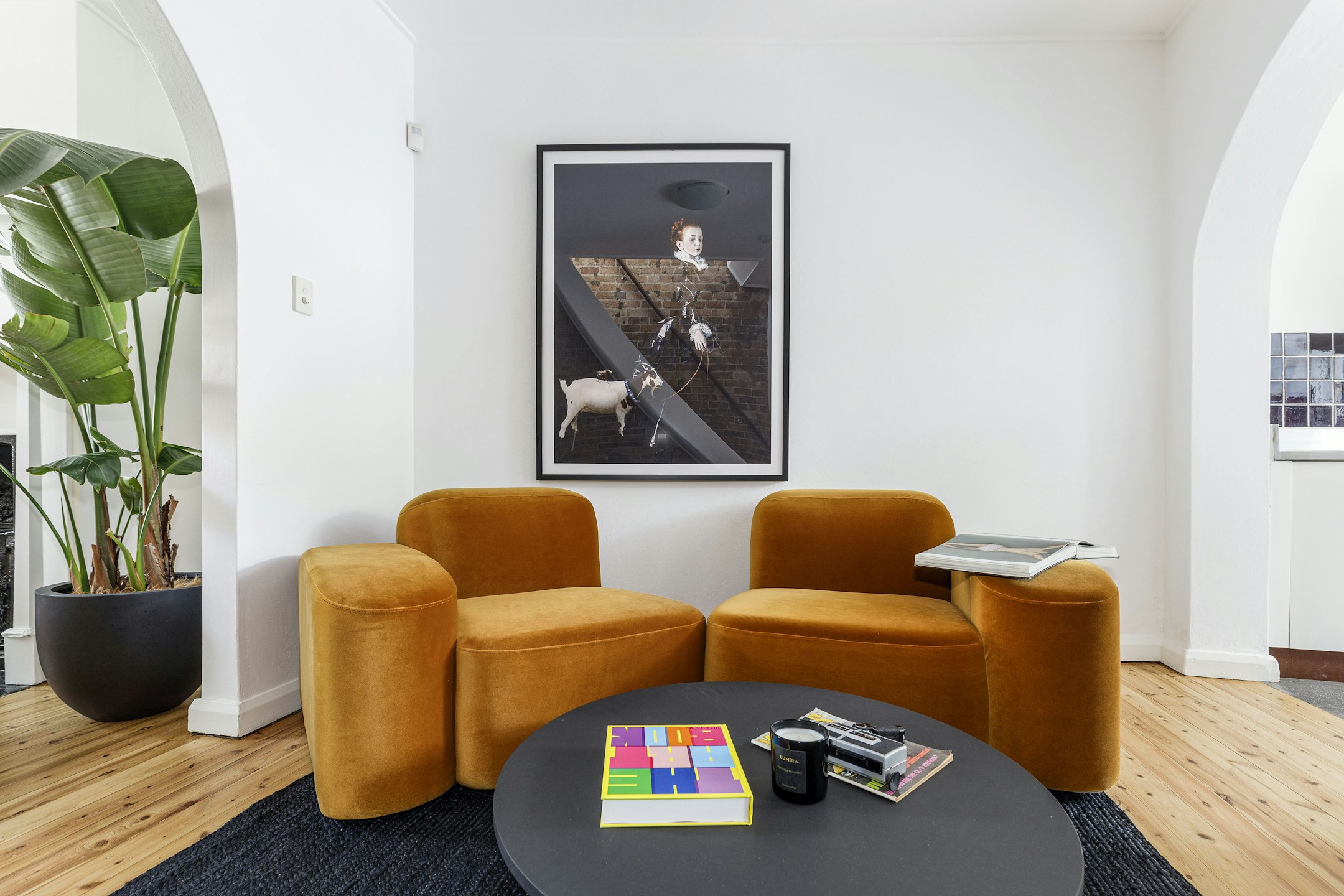 furniture