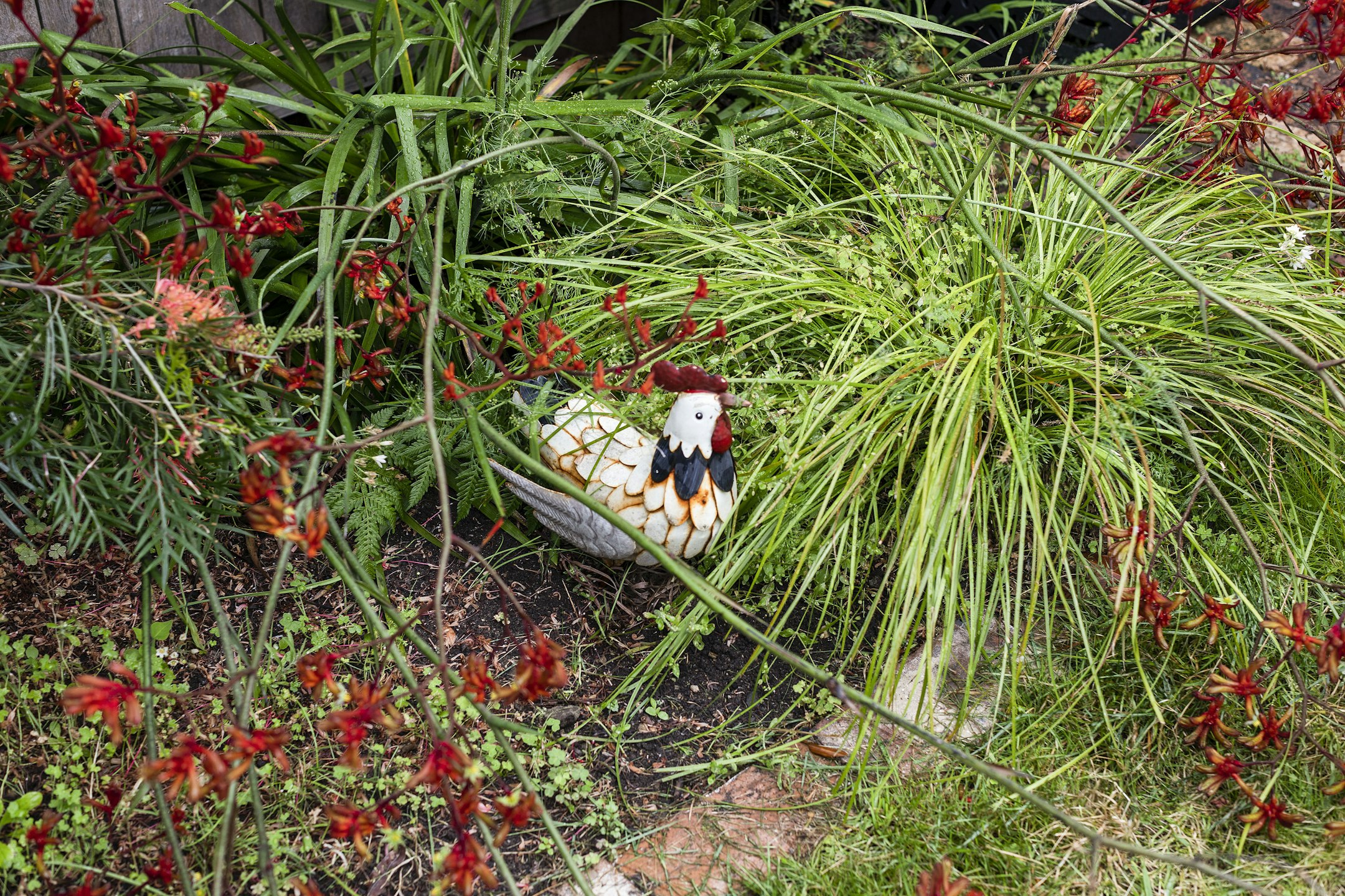 vegetation