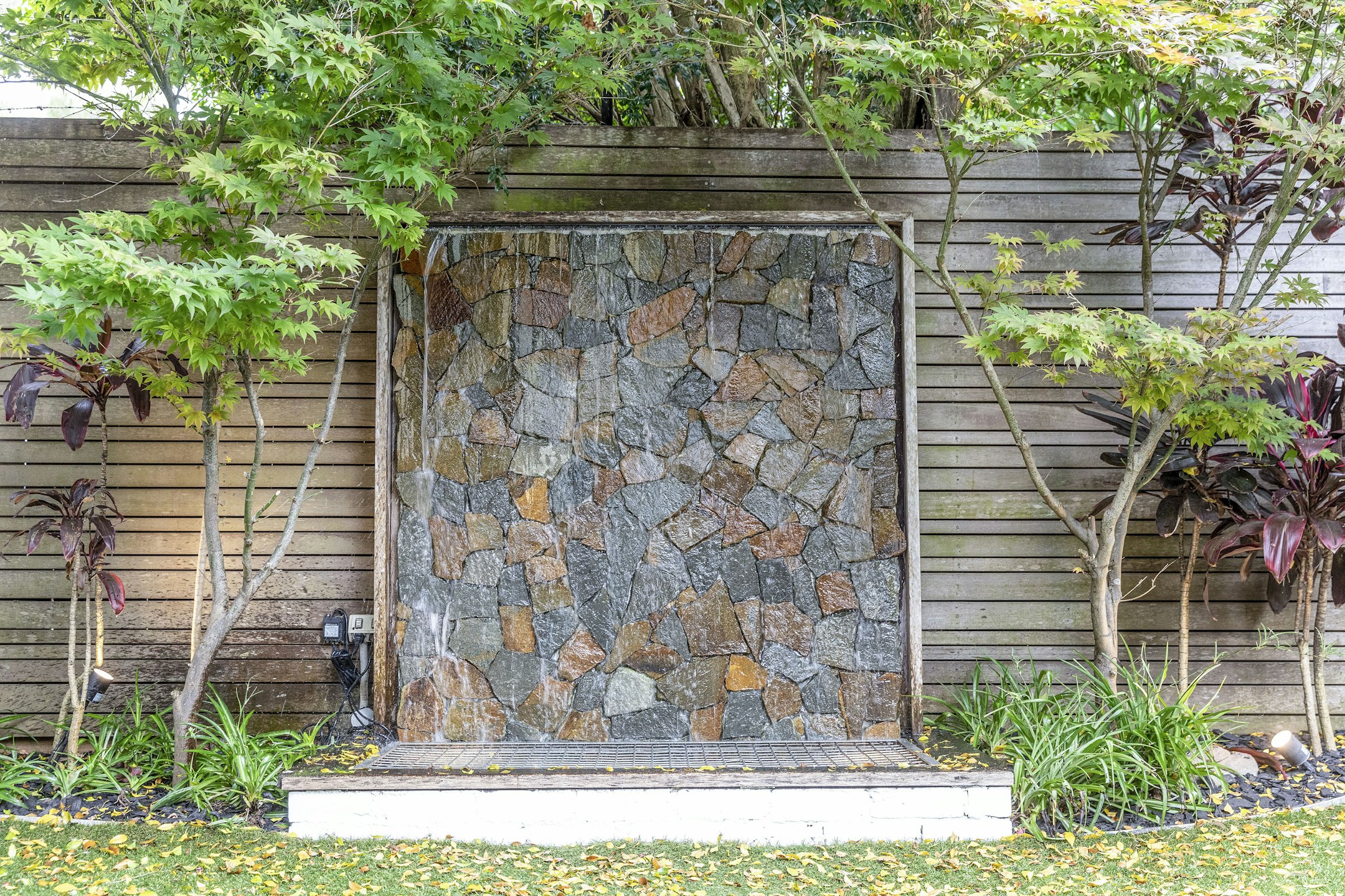 wall