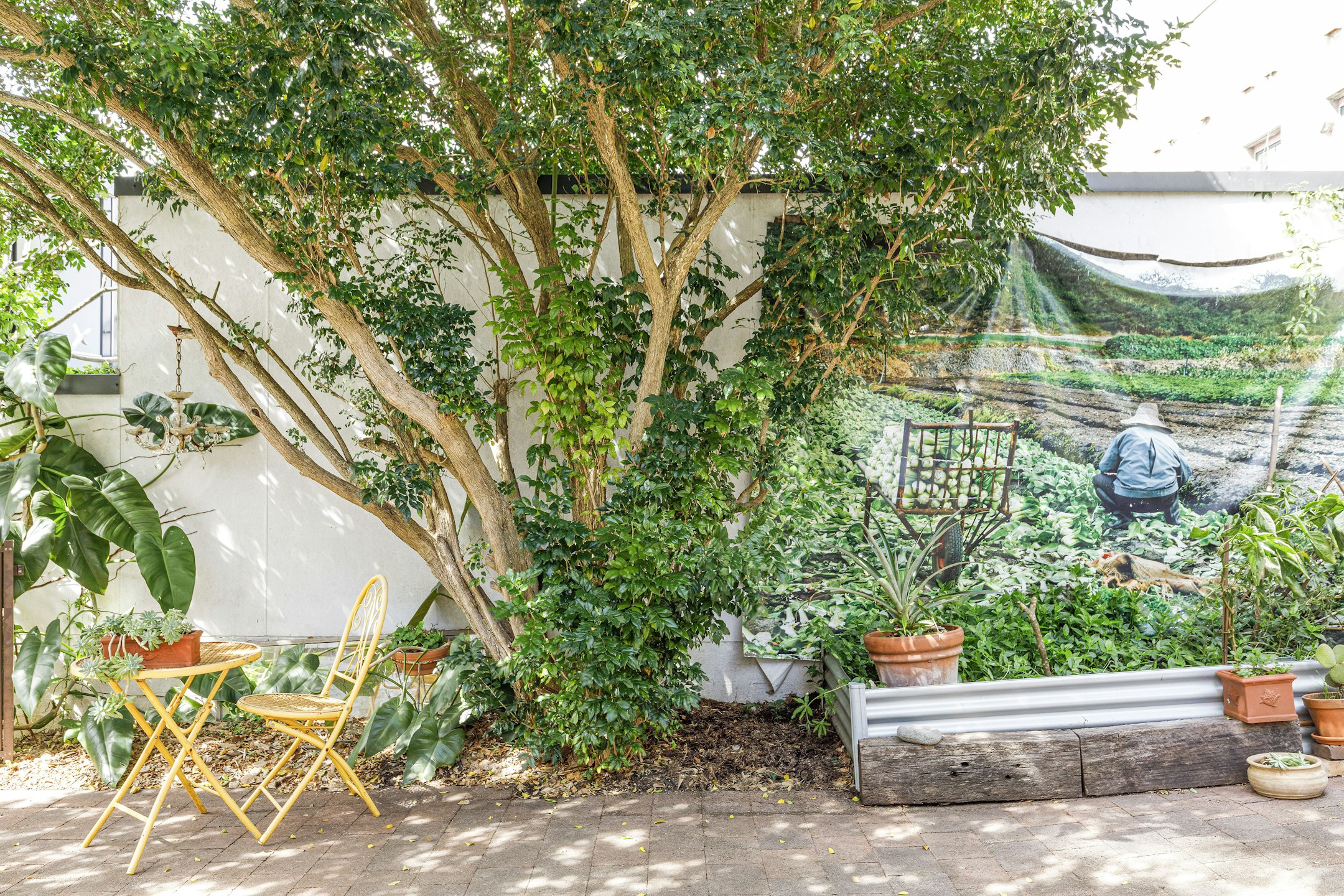 garden