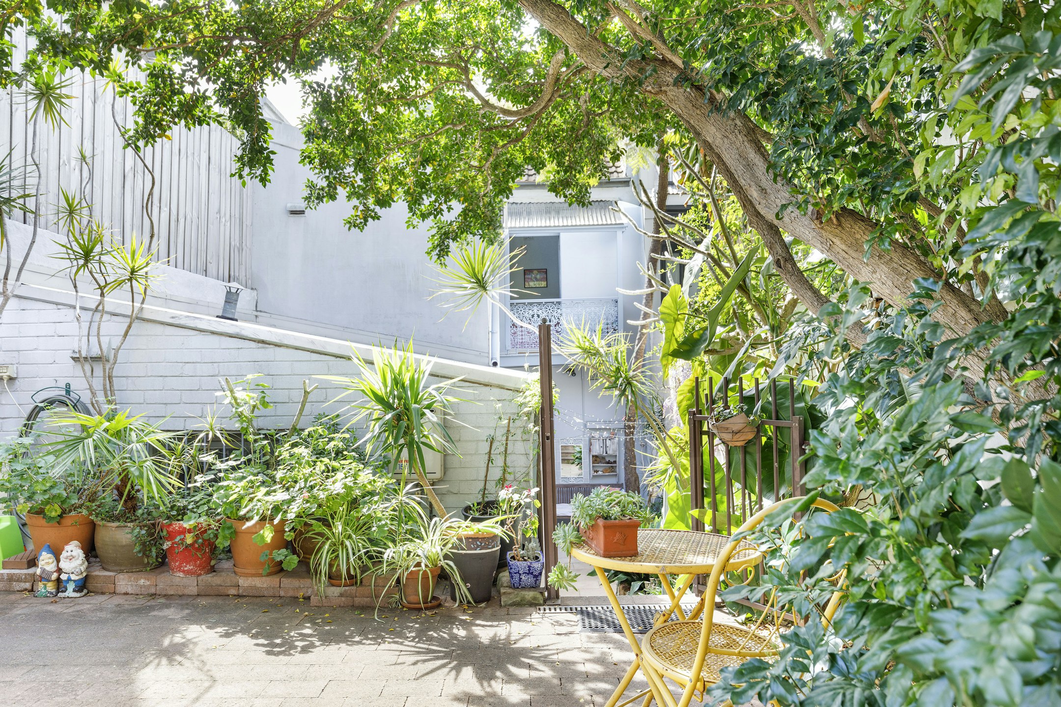 garden
