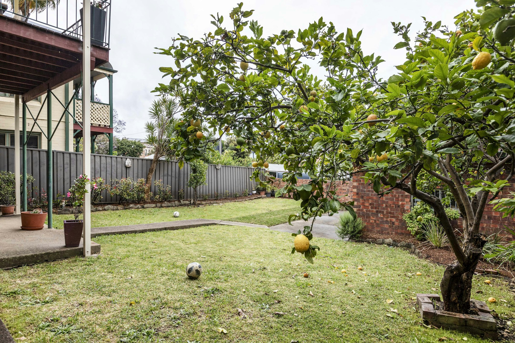 backyard