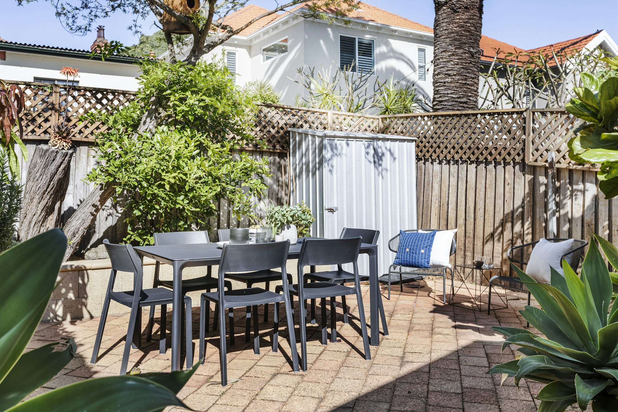 backyard