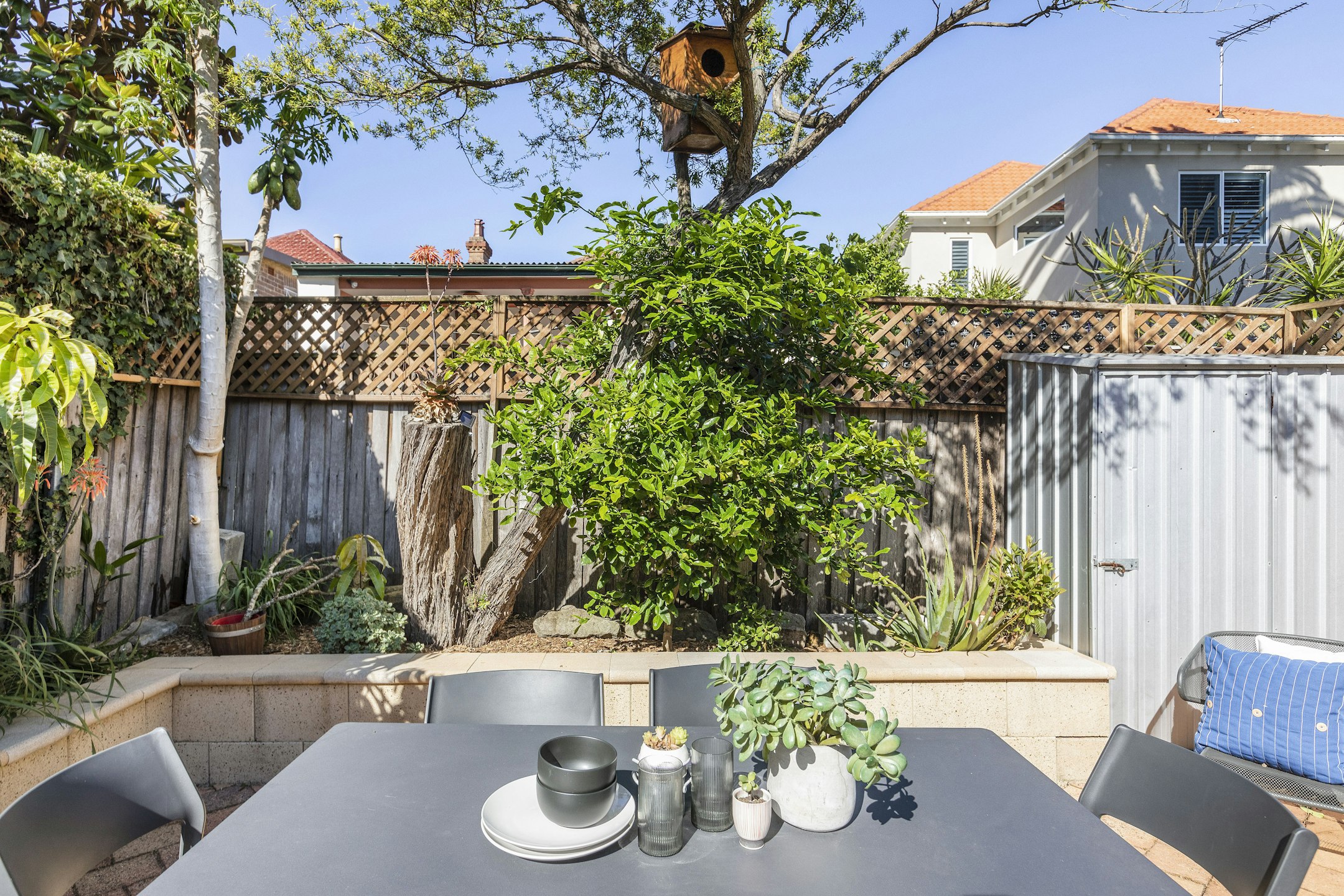 backyard