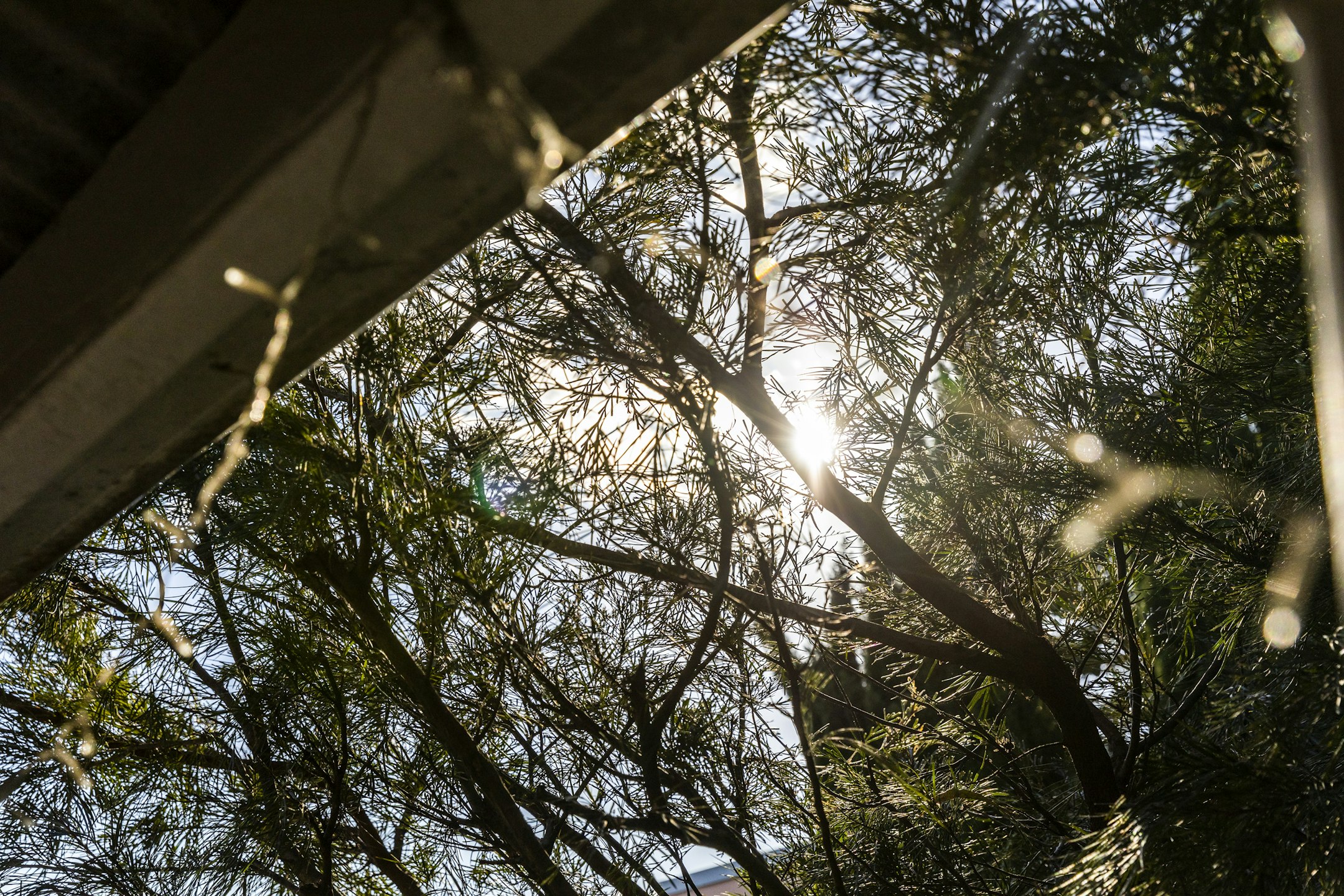 flare