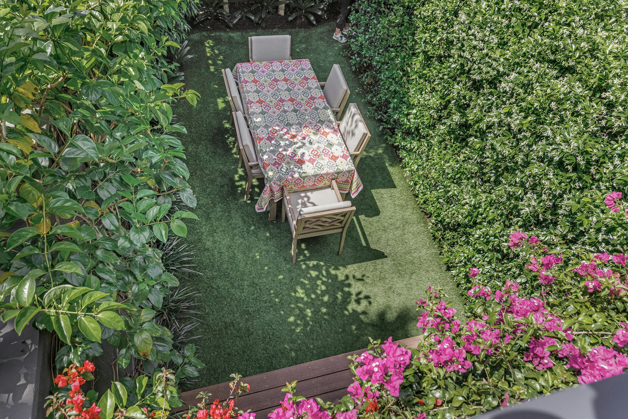 garden