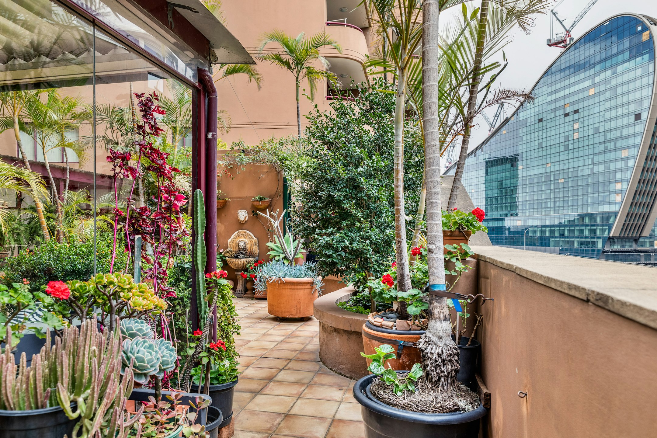 garden
