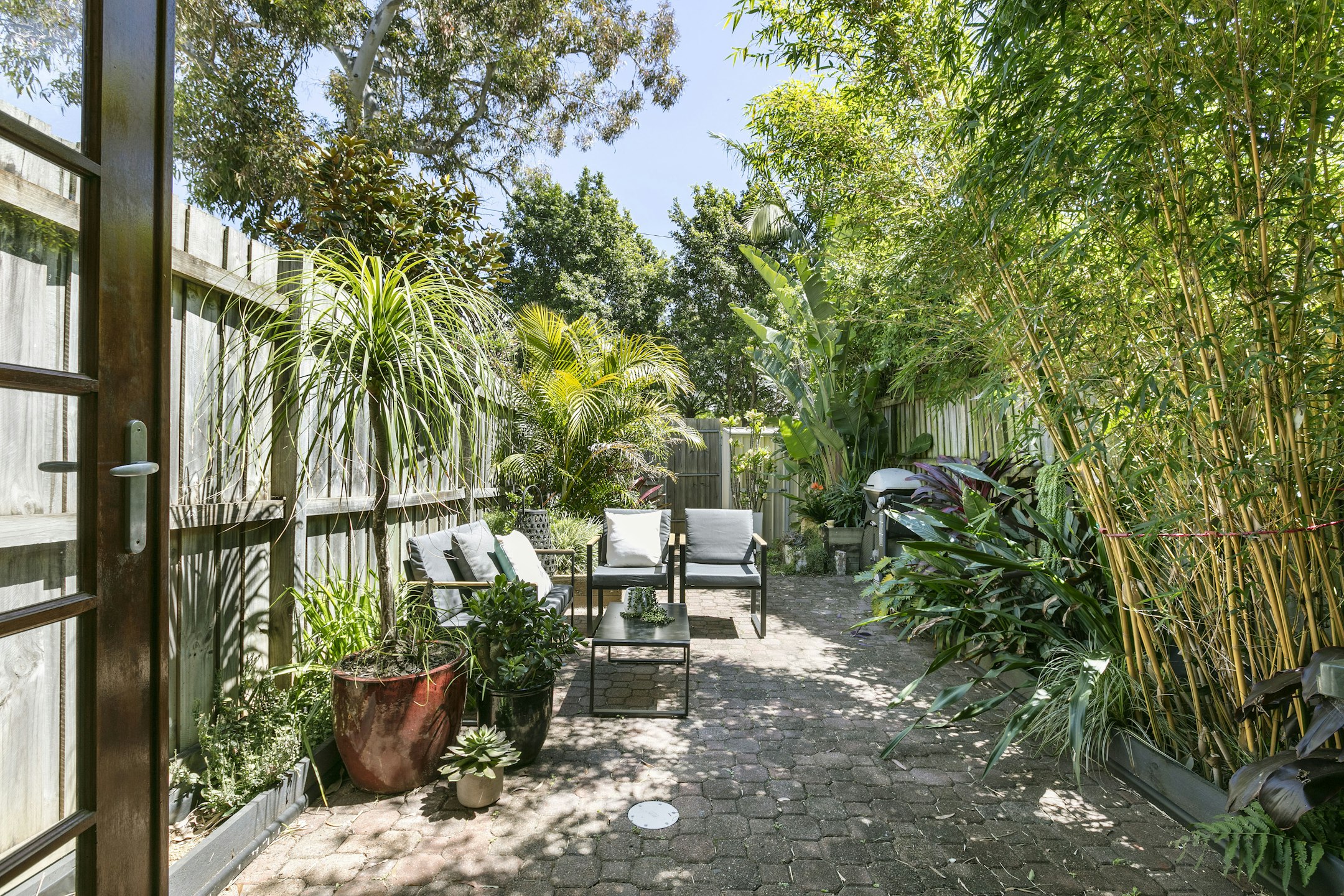 garden
