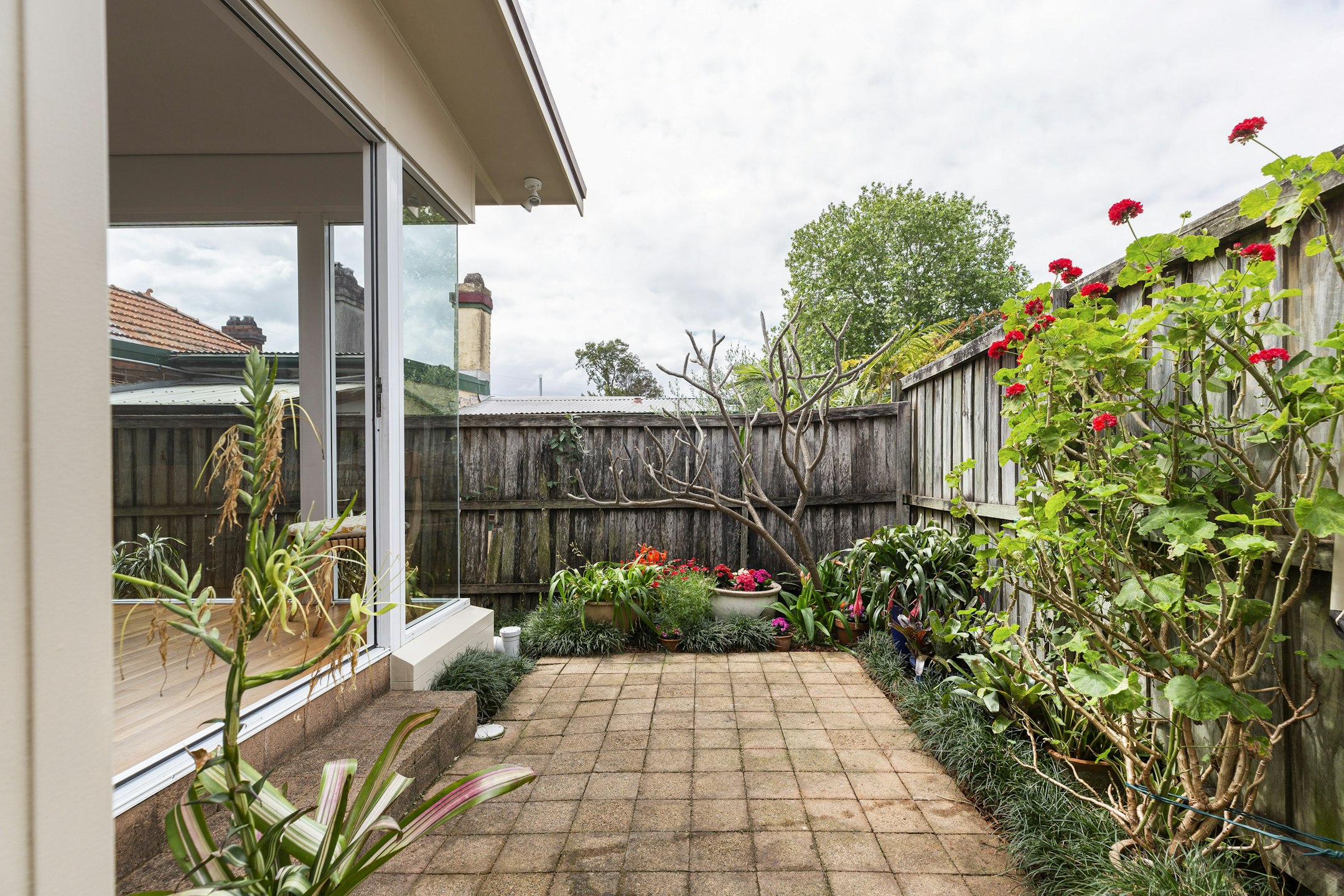 garden