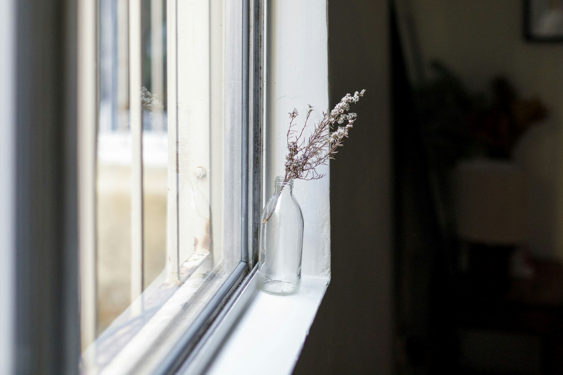 window