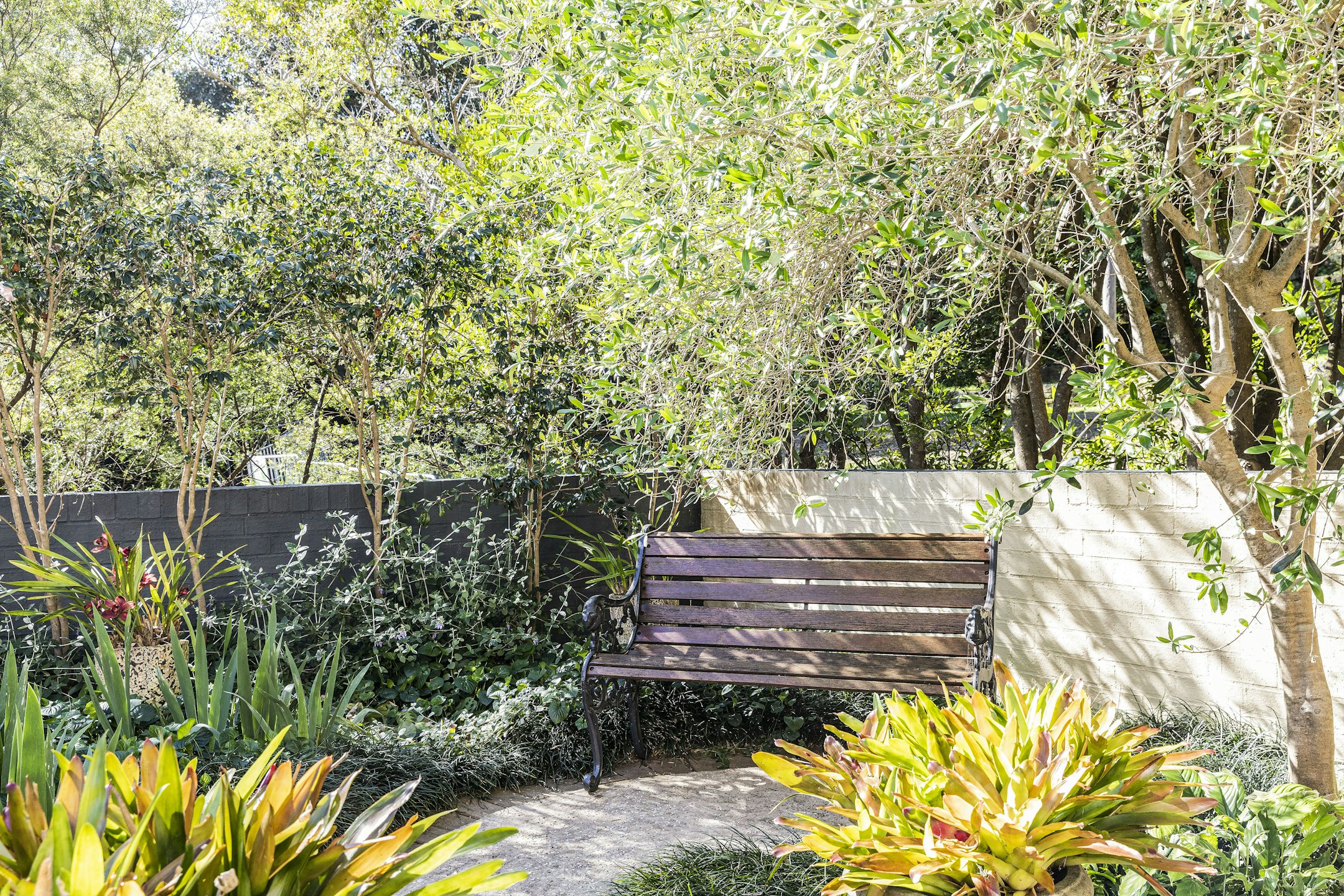 bench