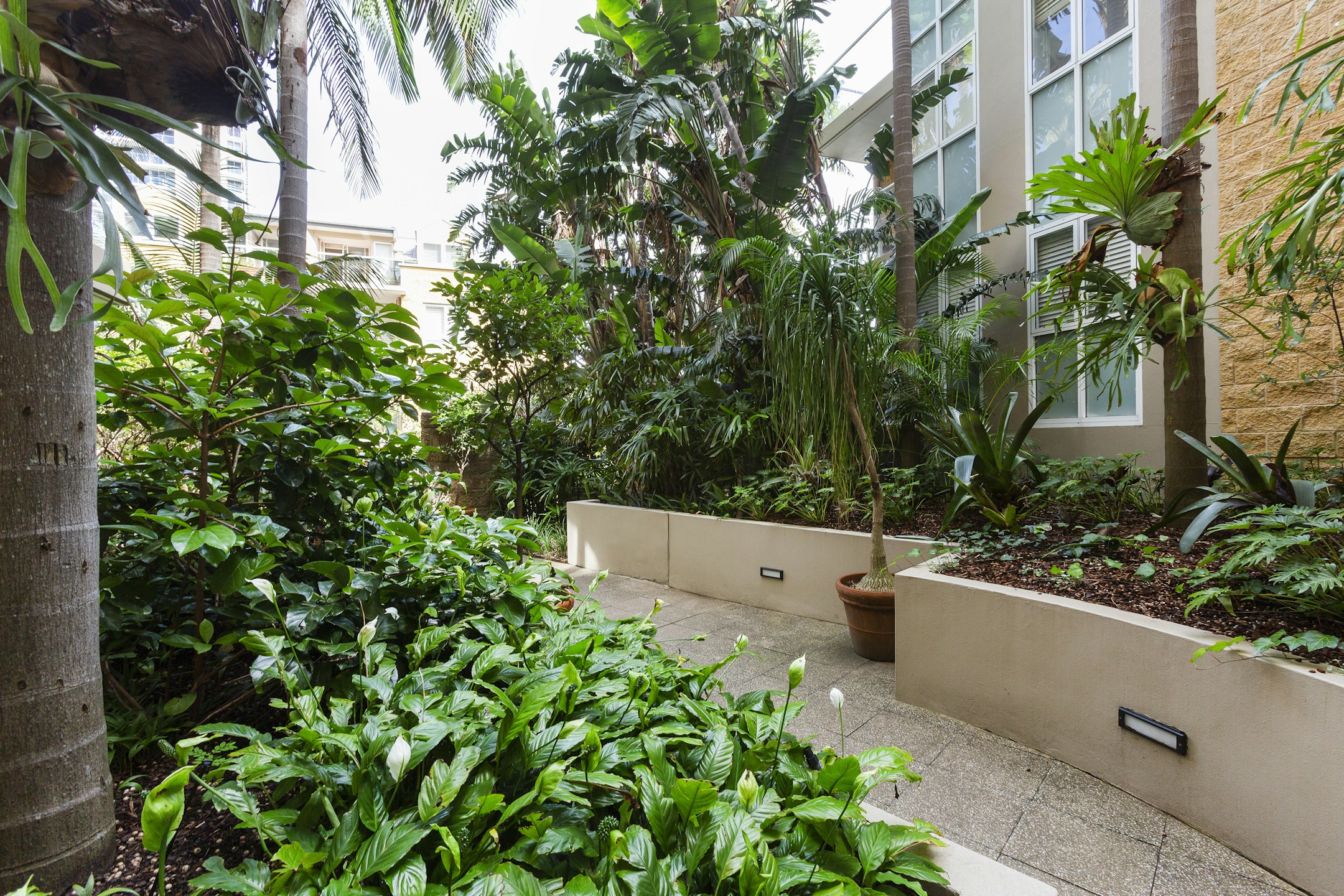 garden