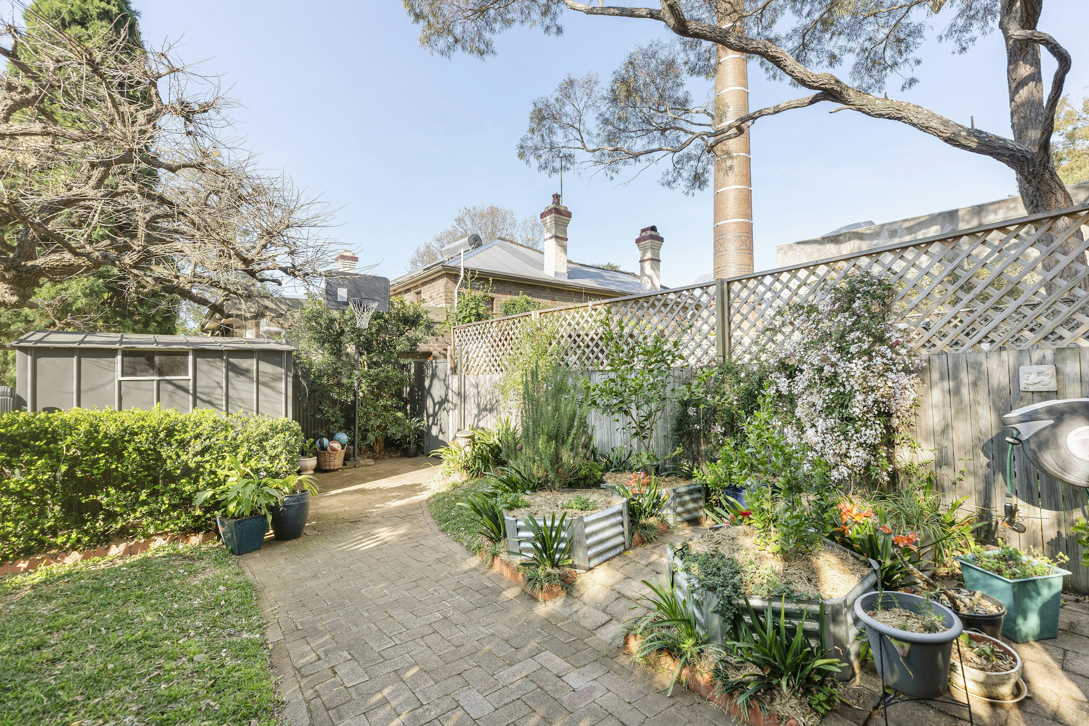 garden