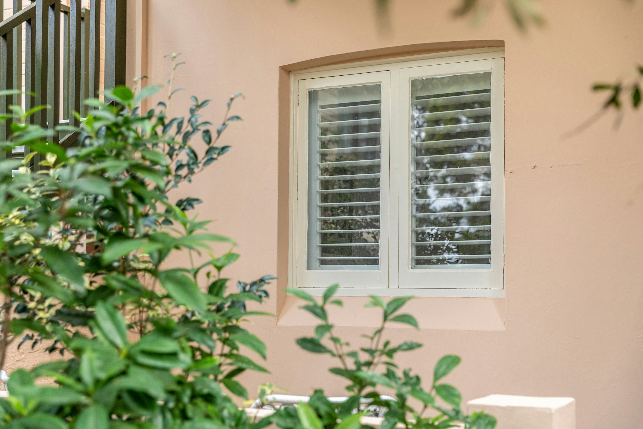 window
