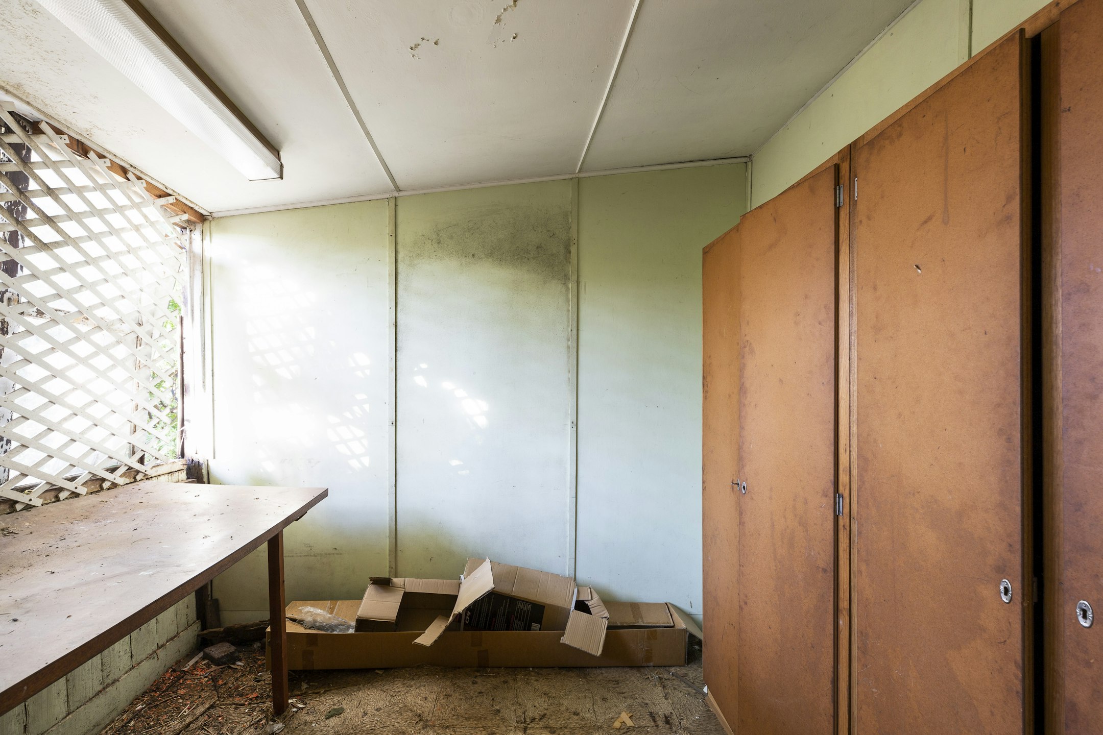 plywood