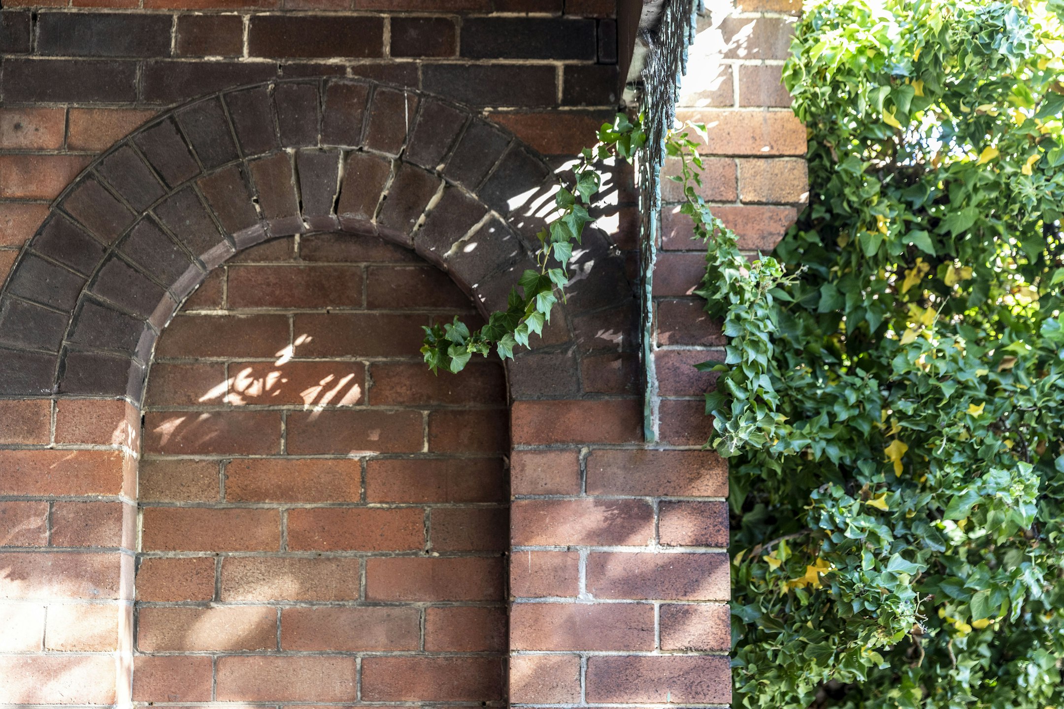 brick