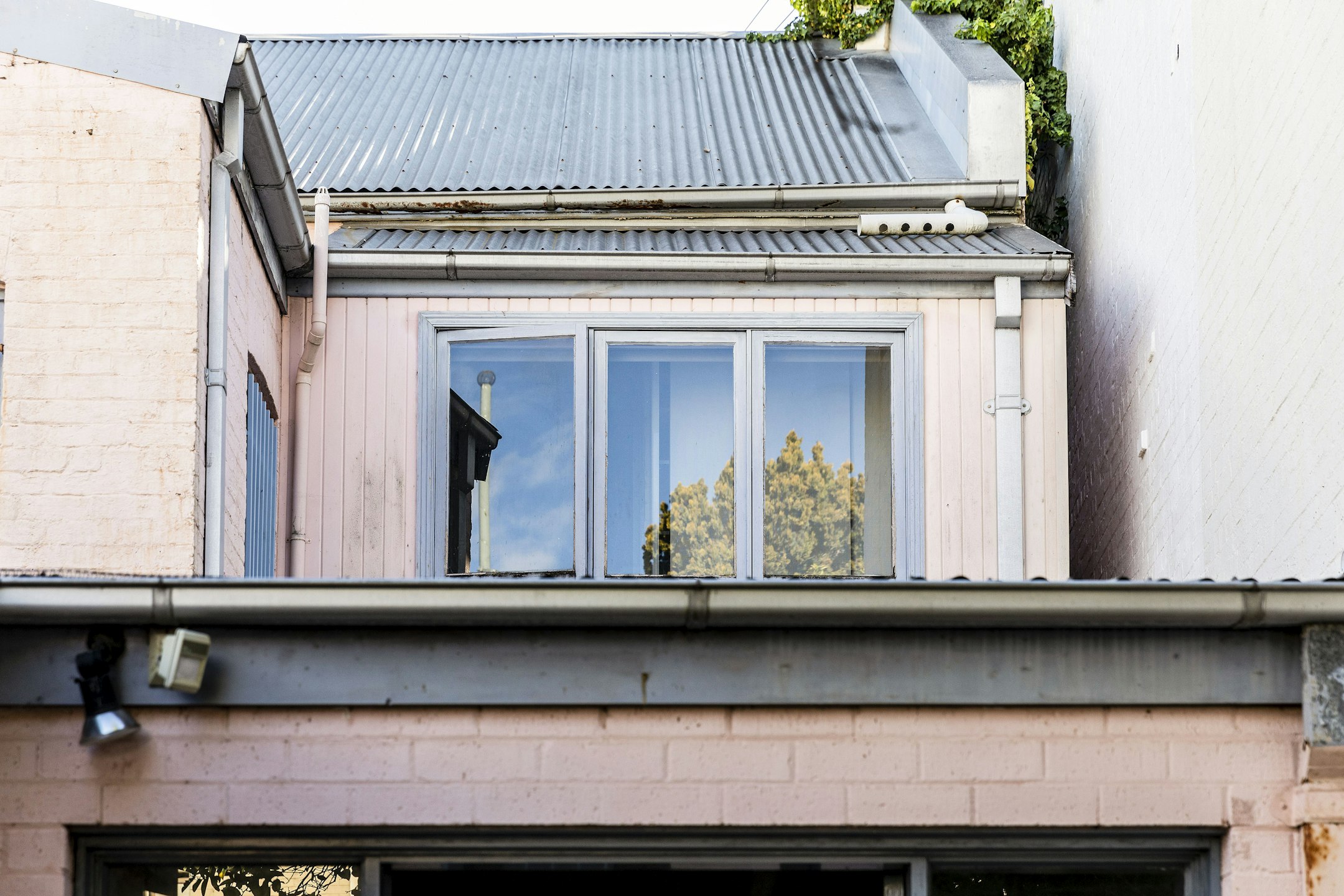 window