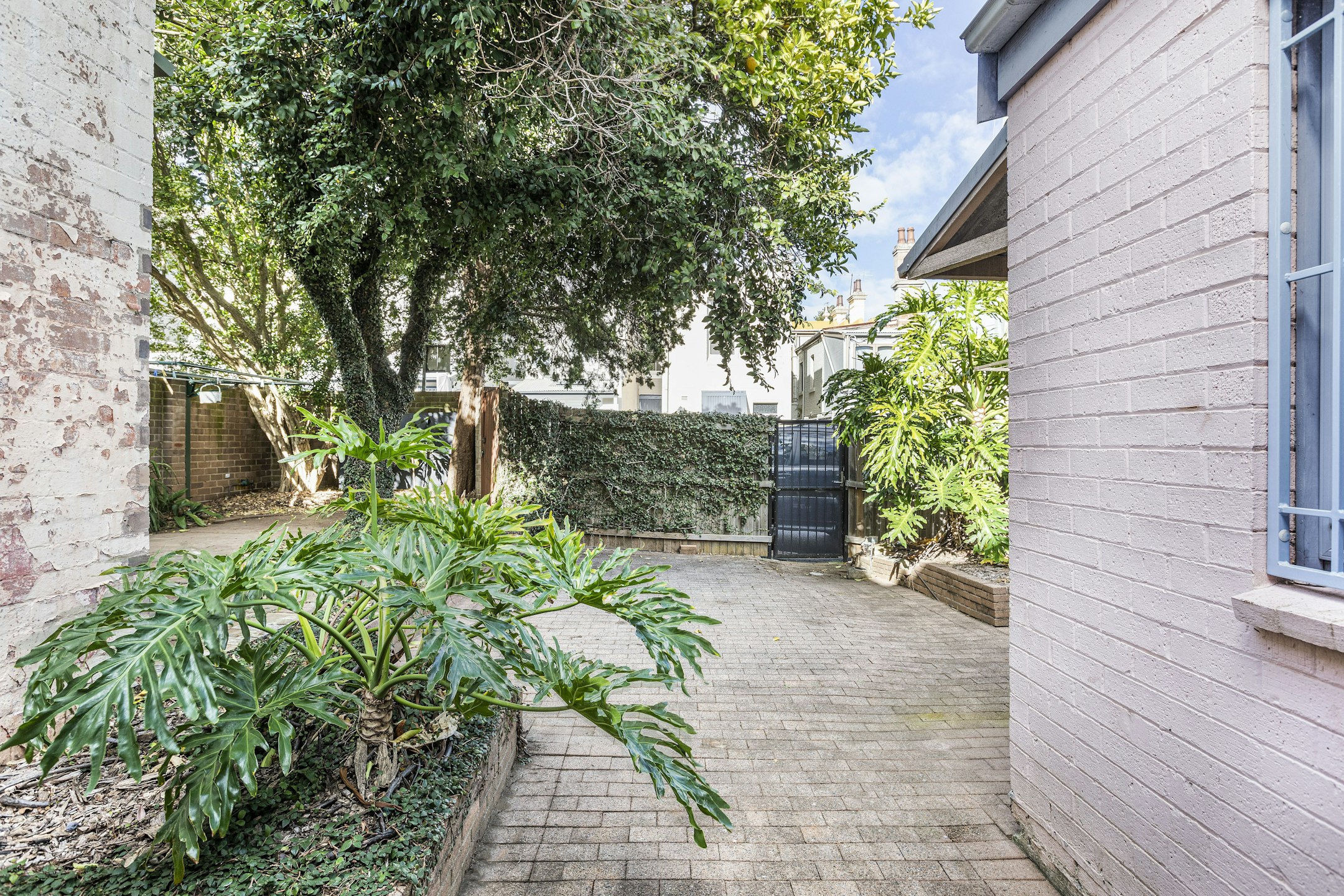 garden