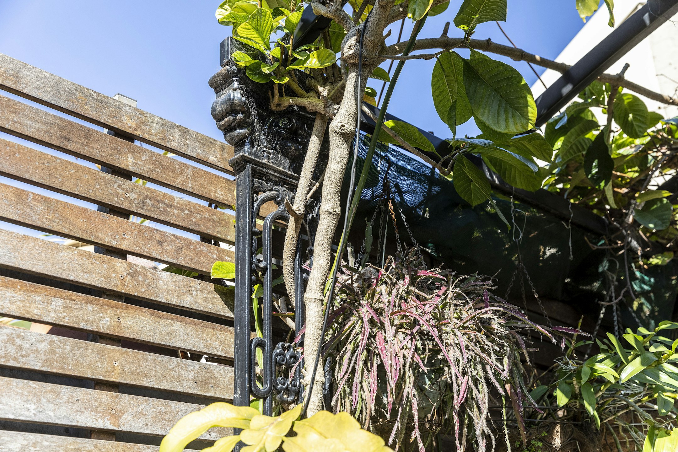 arbour