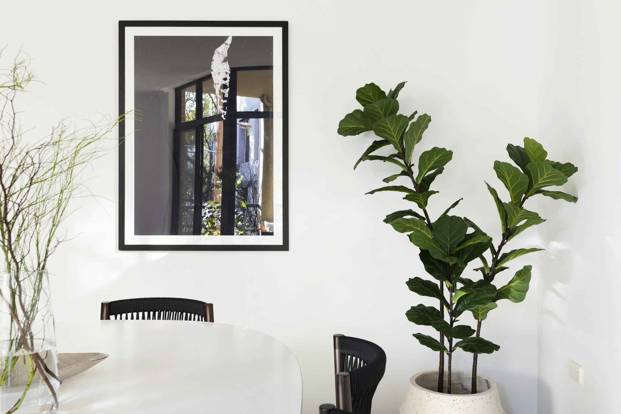 plant