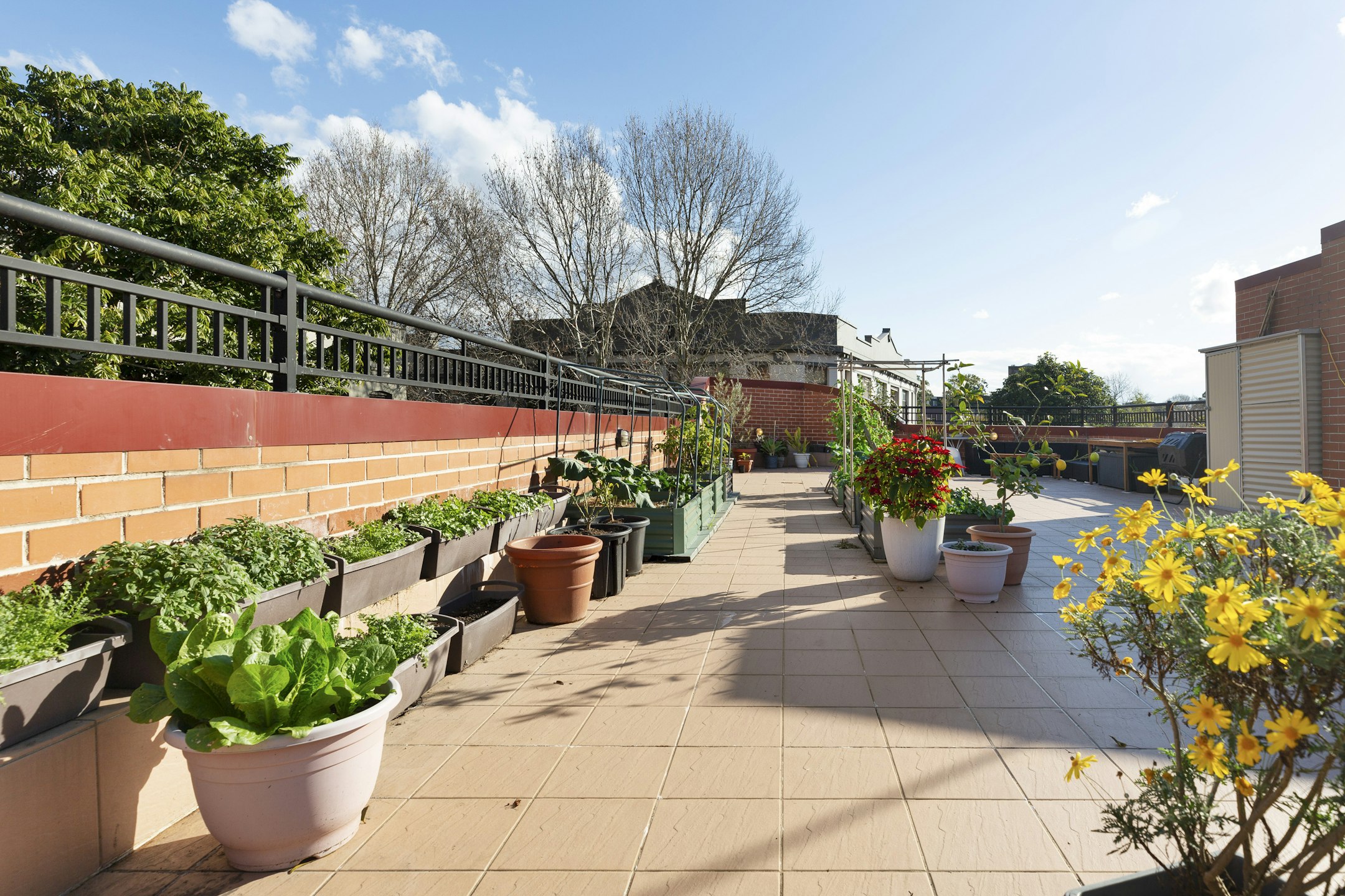 garden