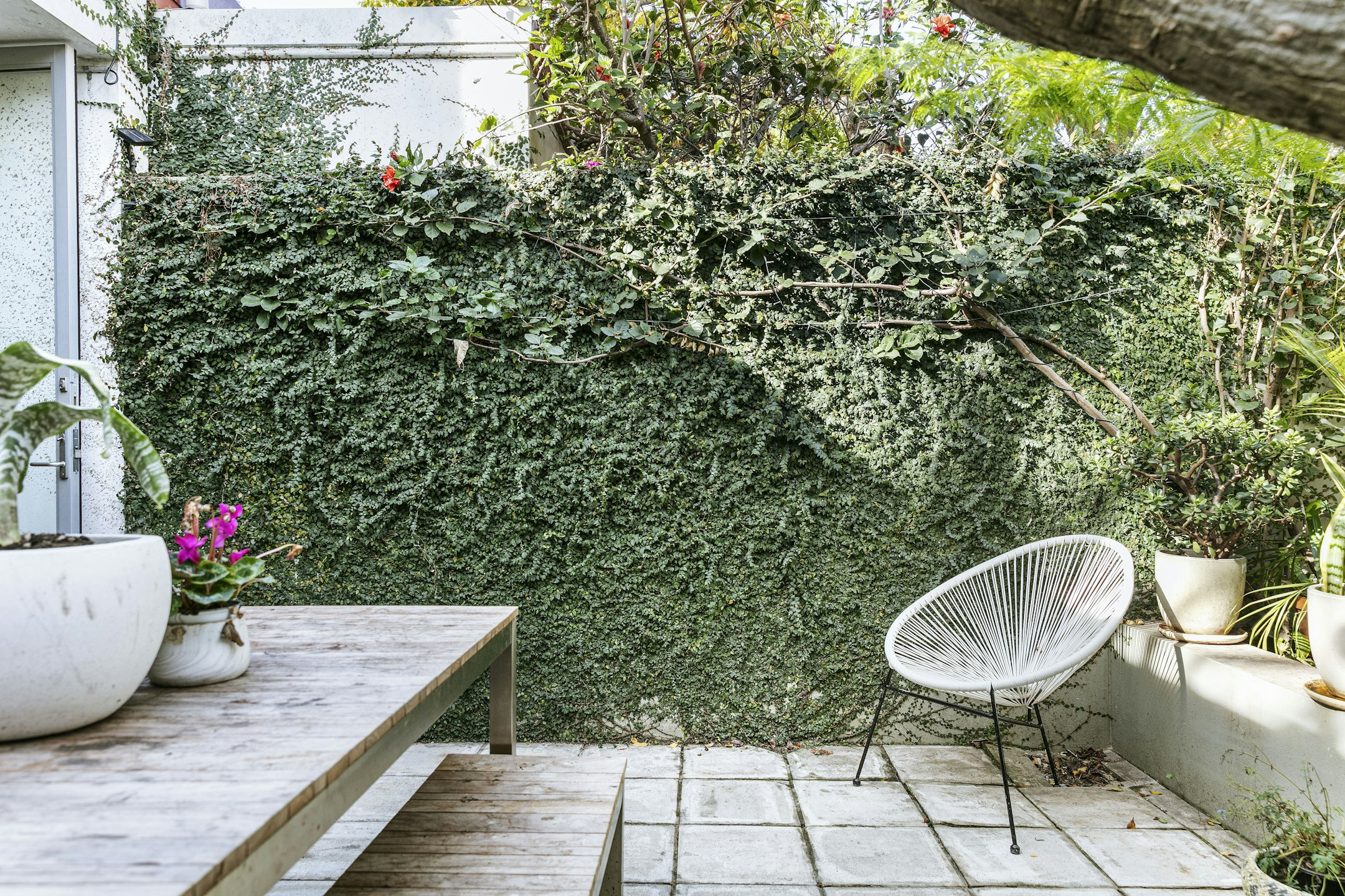 garden