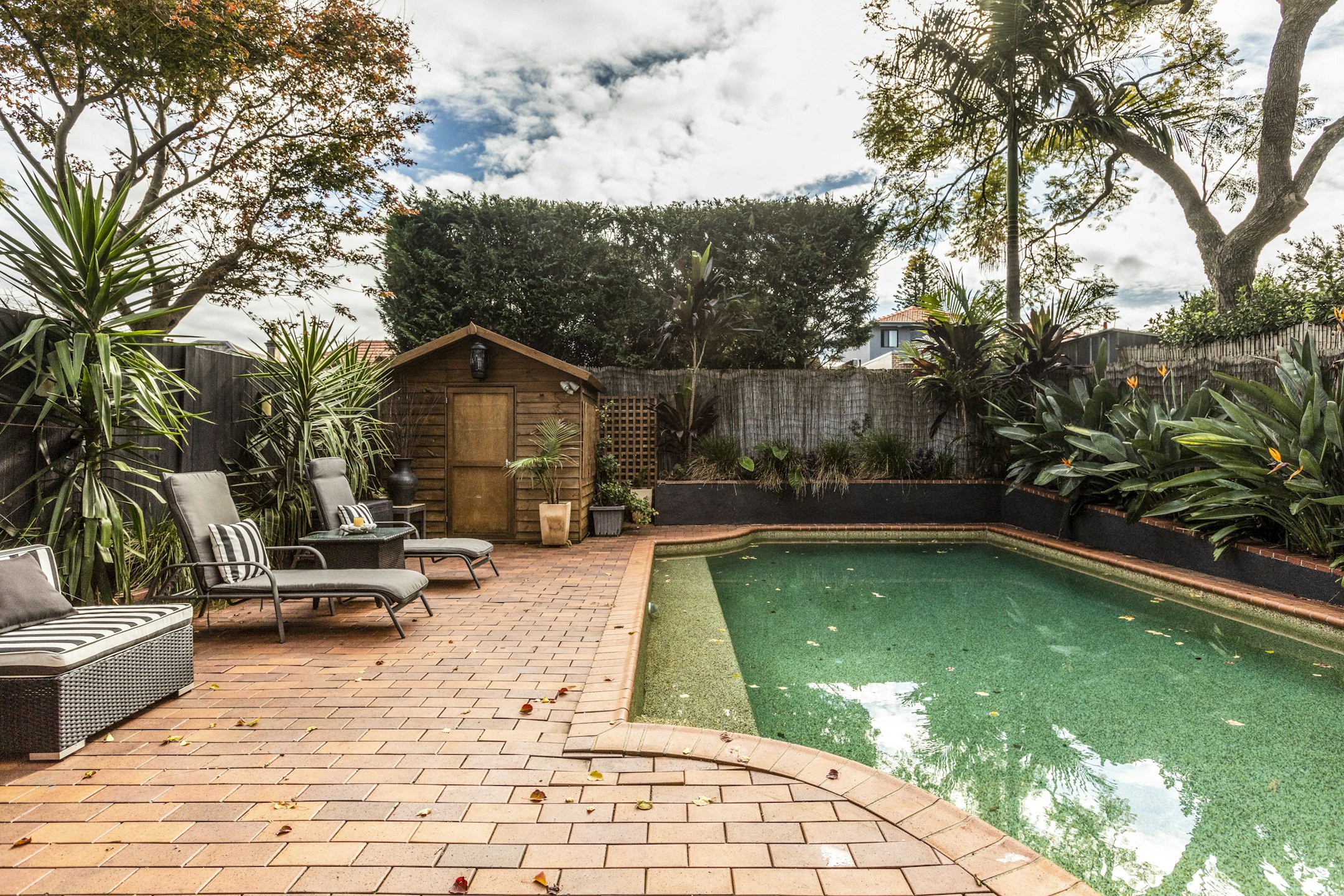 backyard