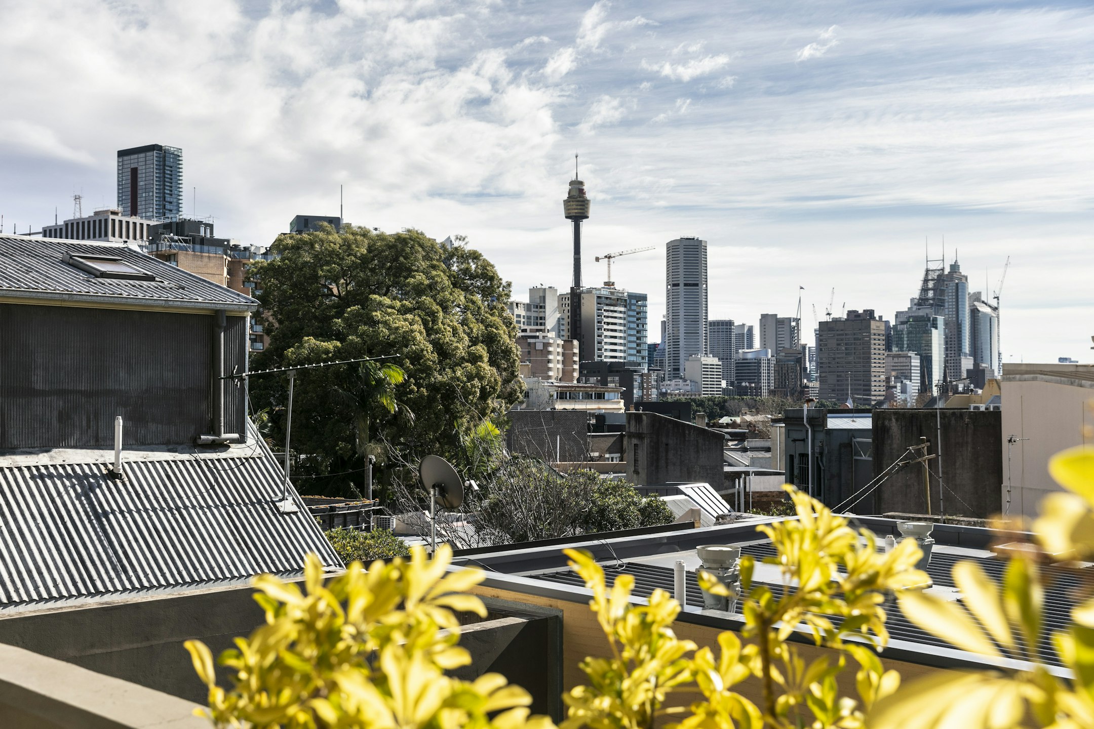 cityscape