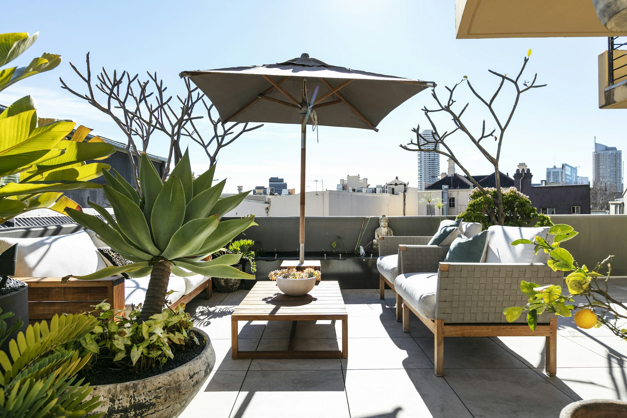 terrace