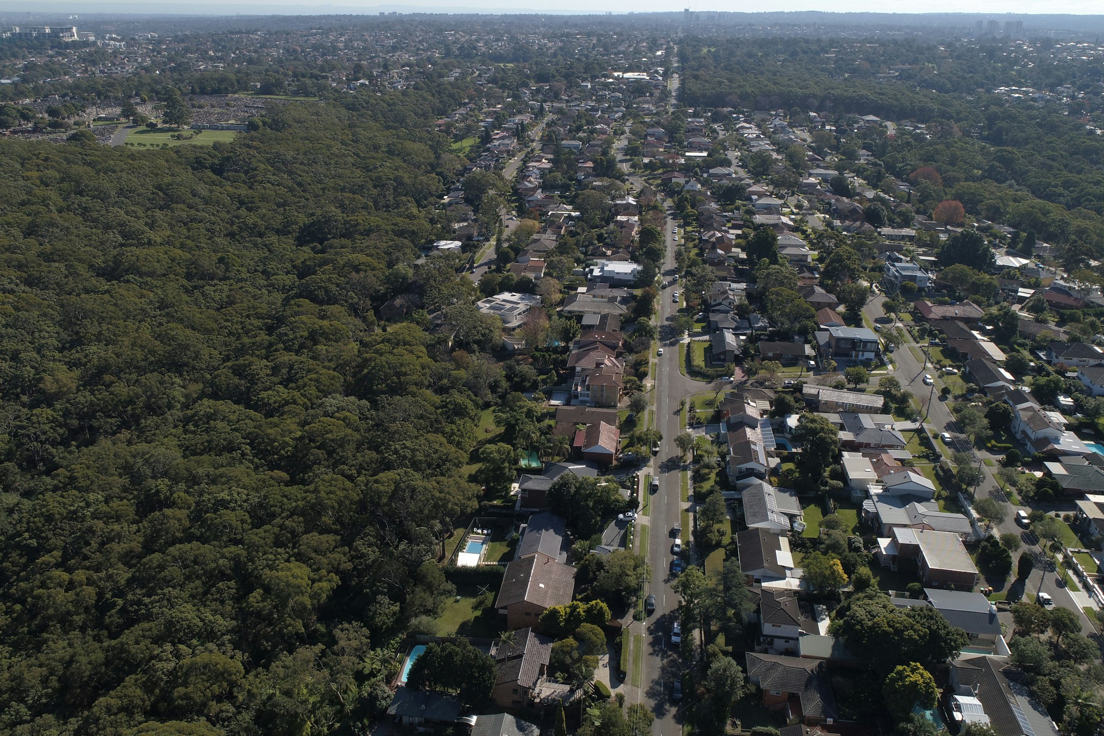 neighborhood