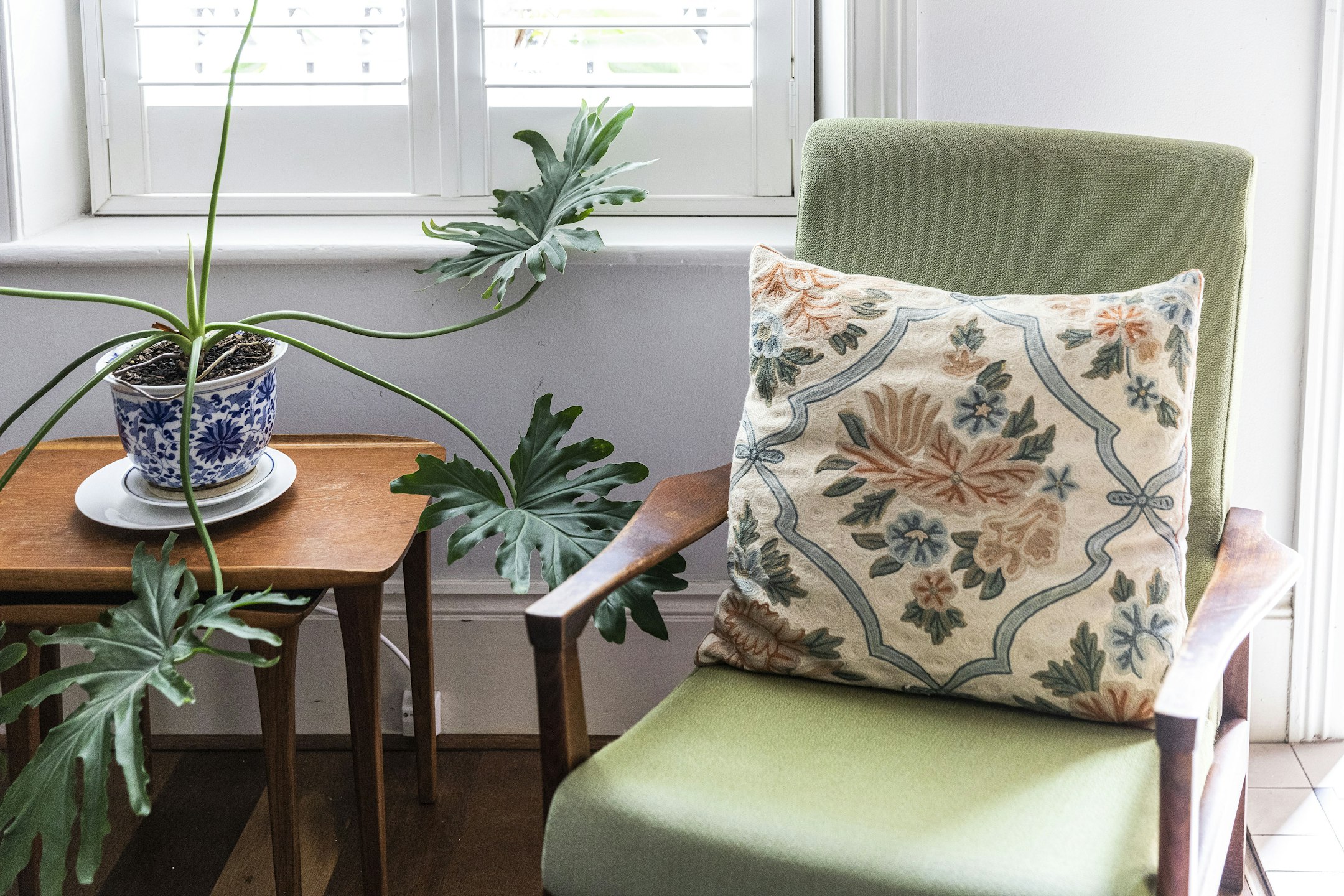 cushion