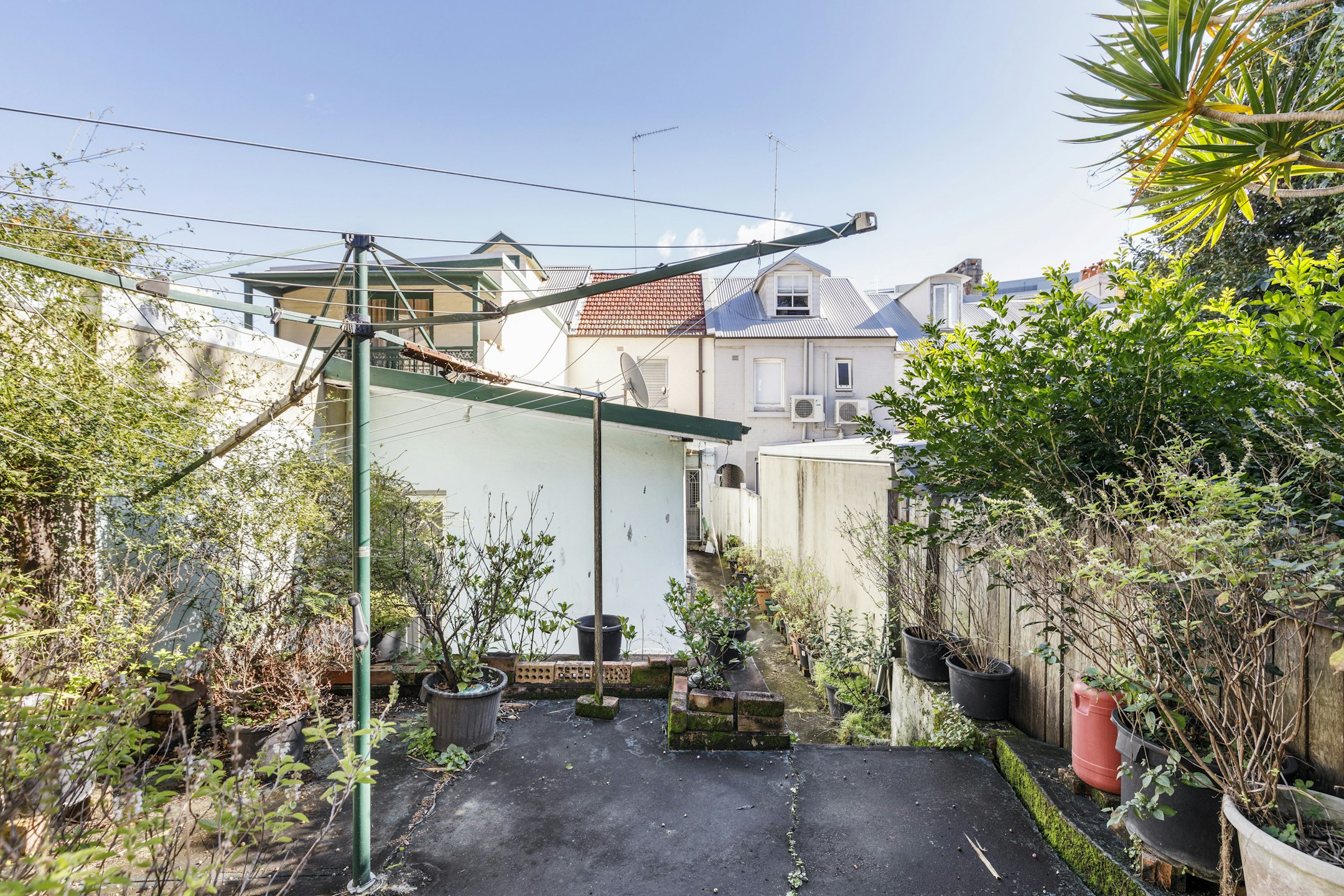 garden