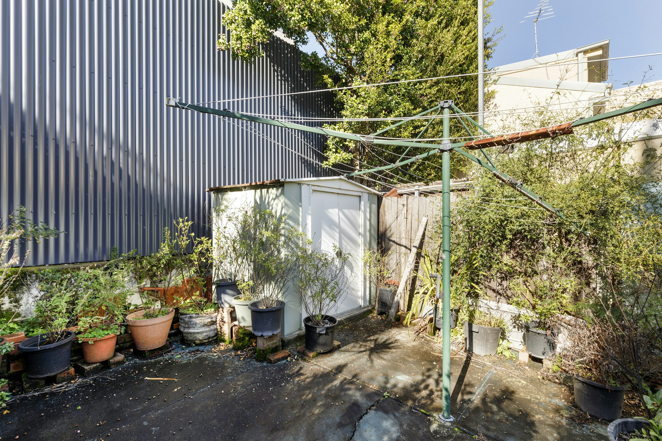 backyard