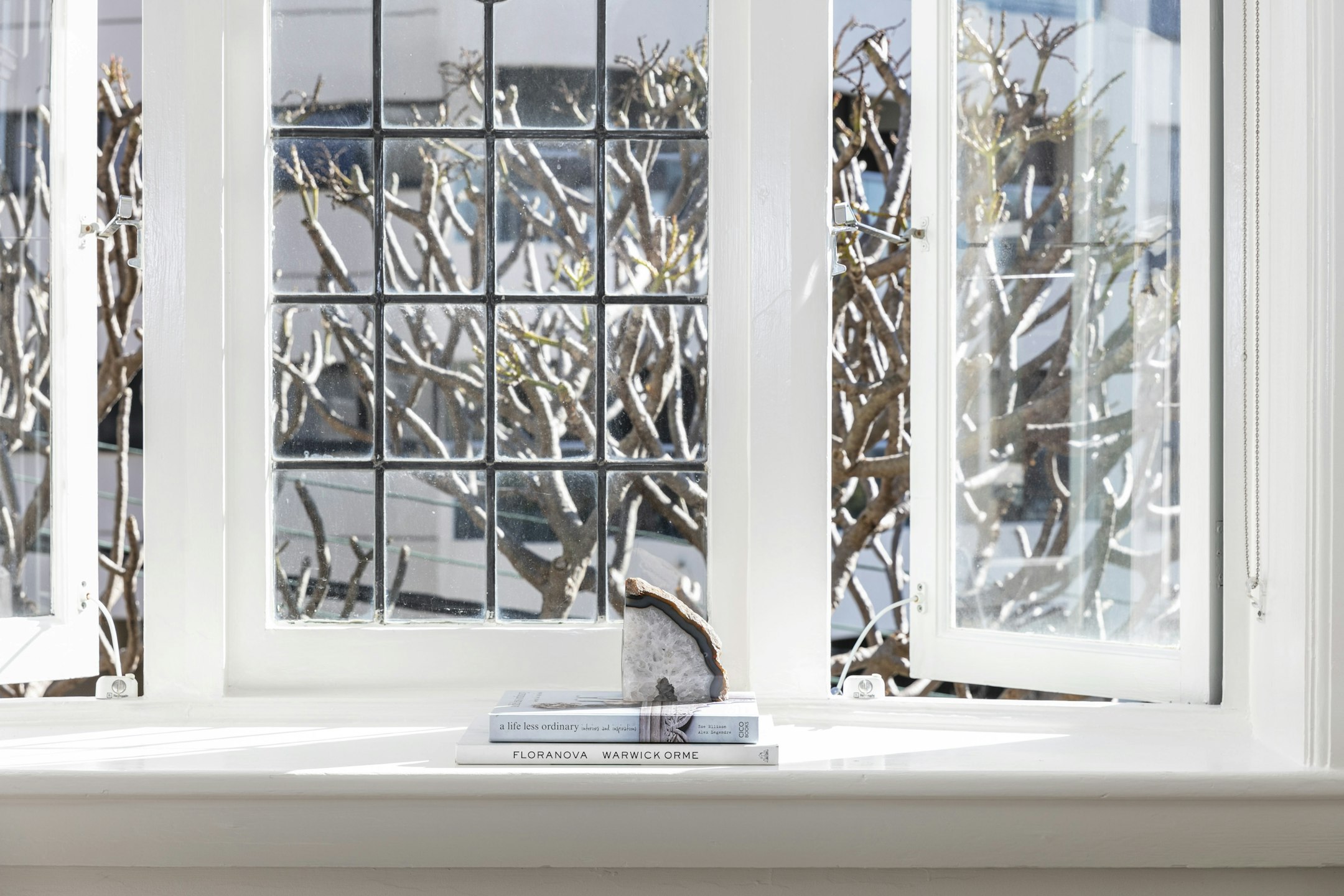 window