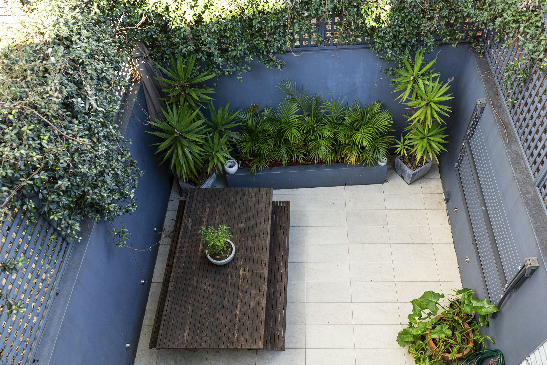 garden