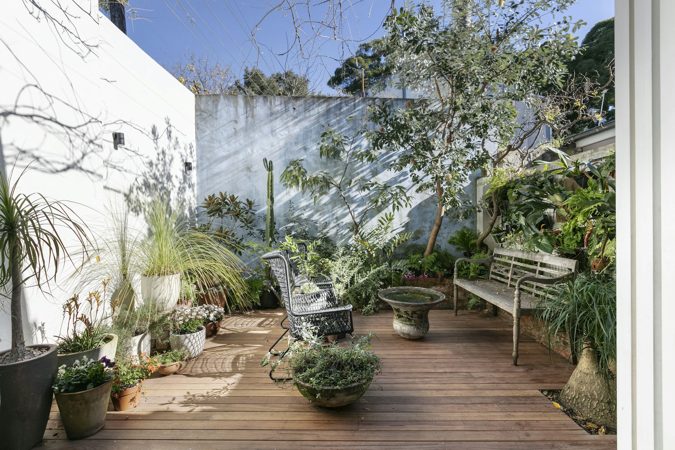 garden