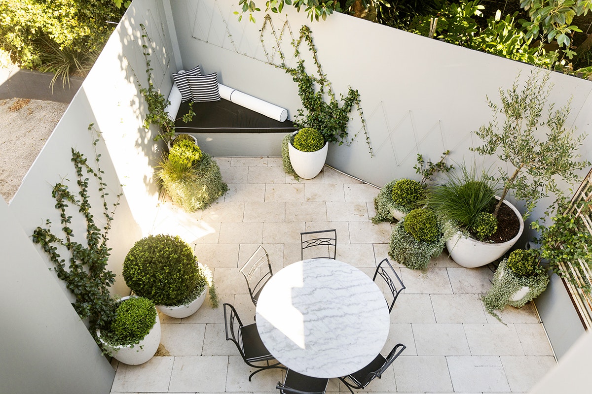 garden