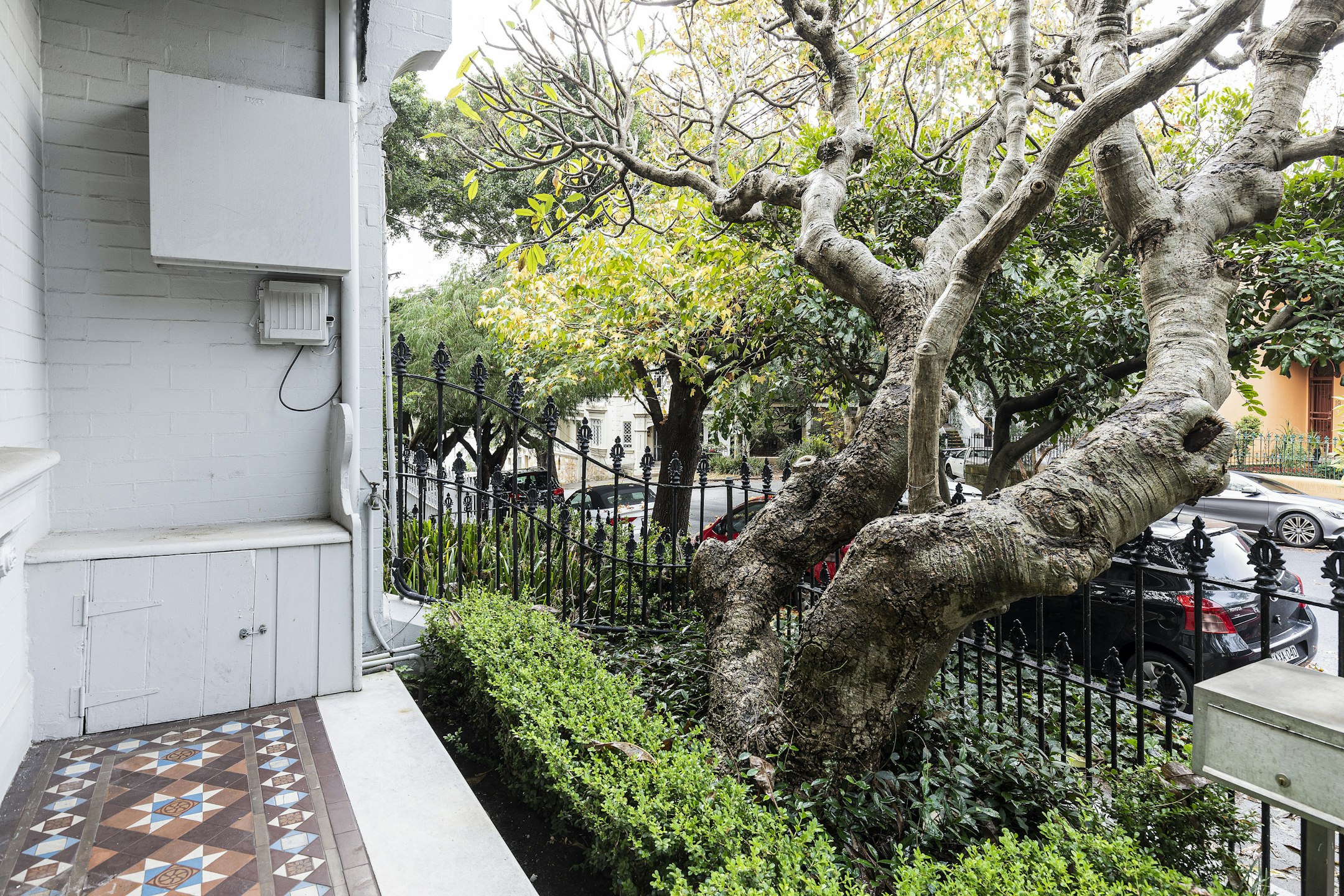 garden