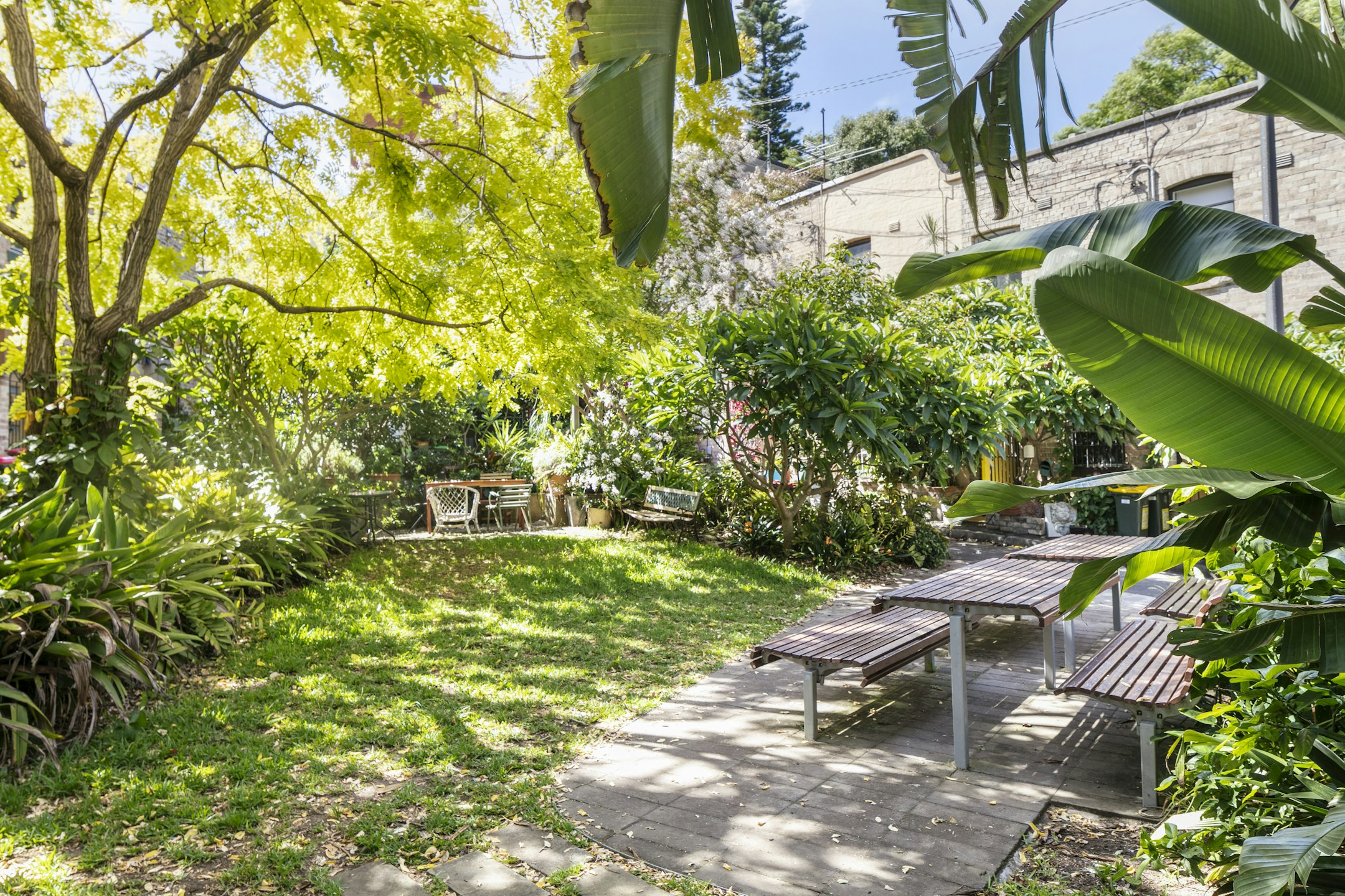 backyard