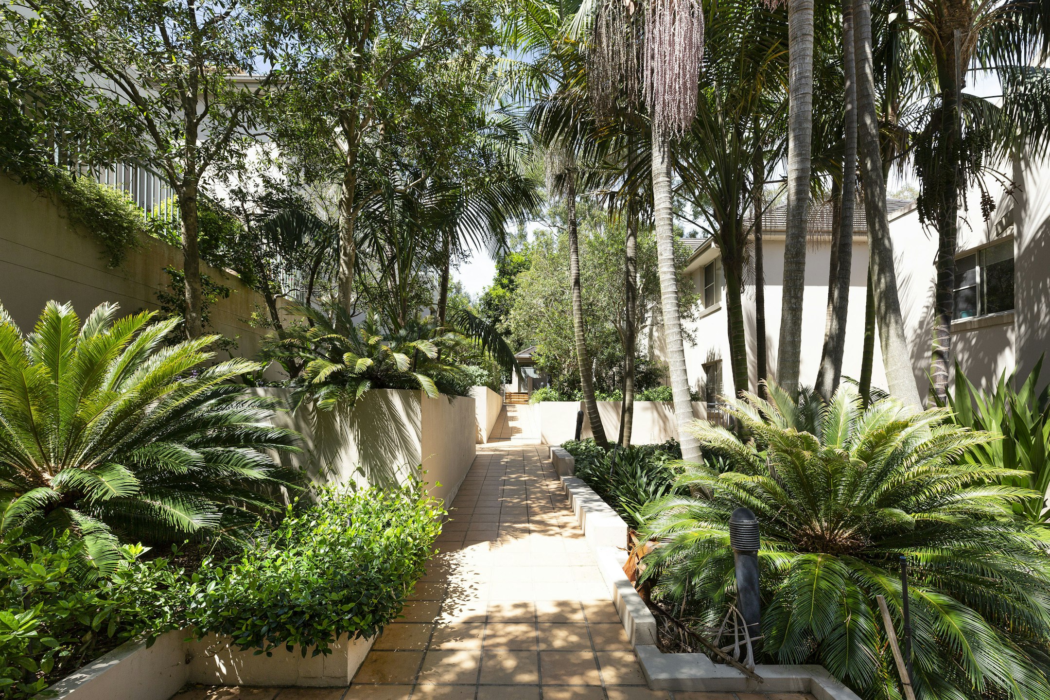 garden