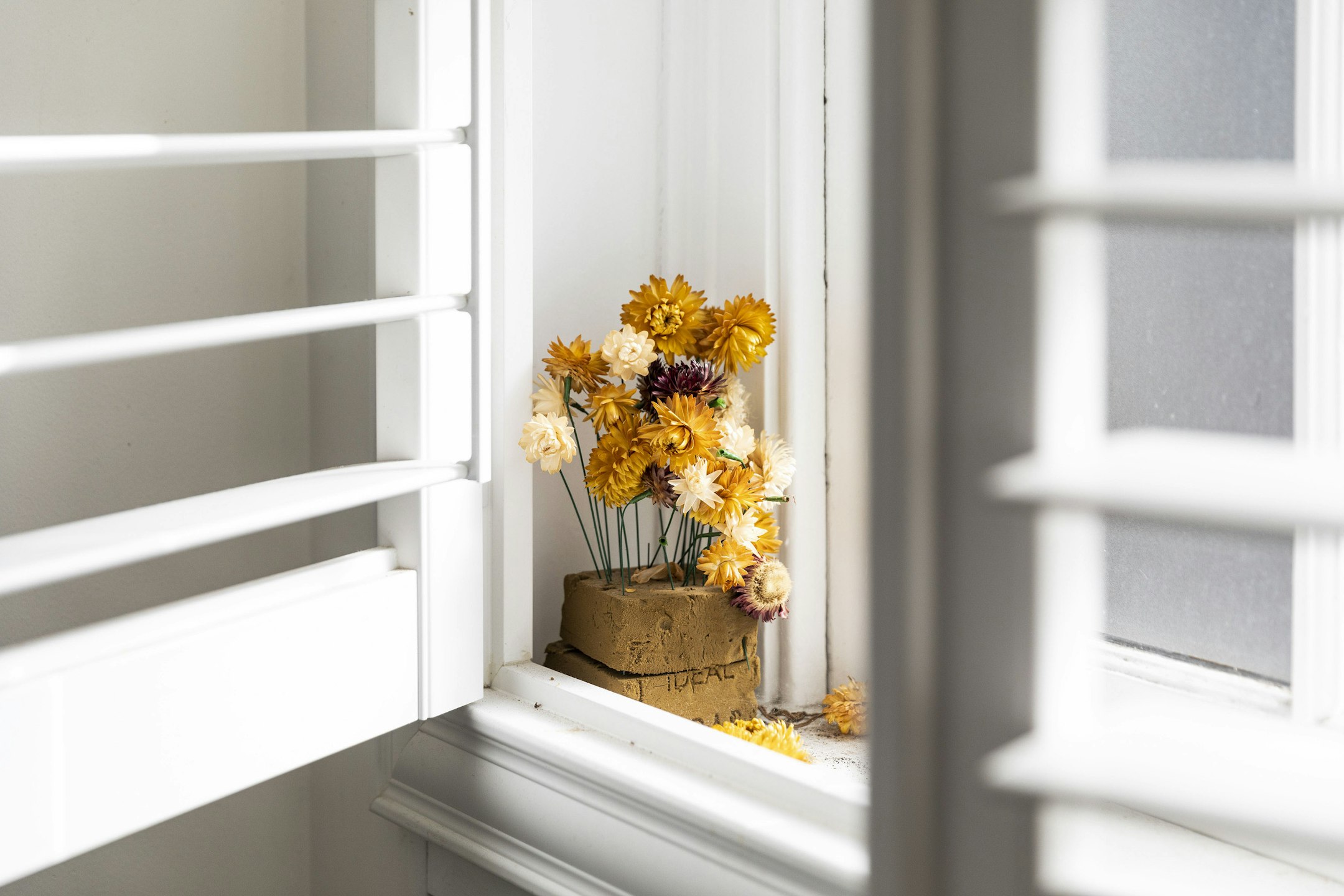 window