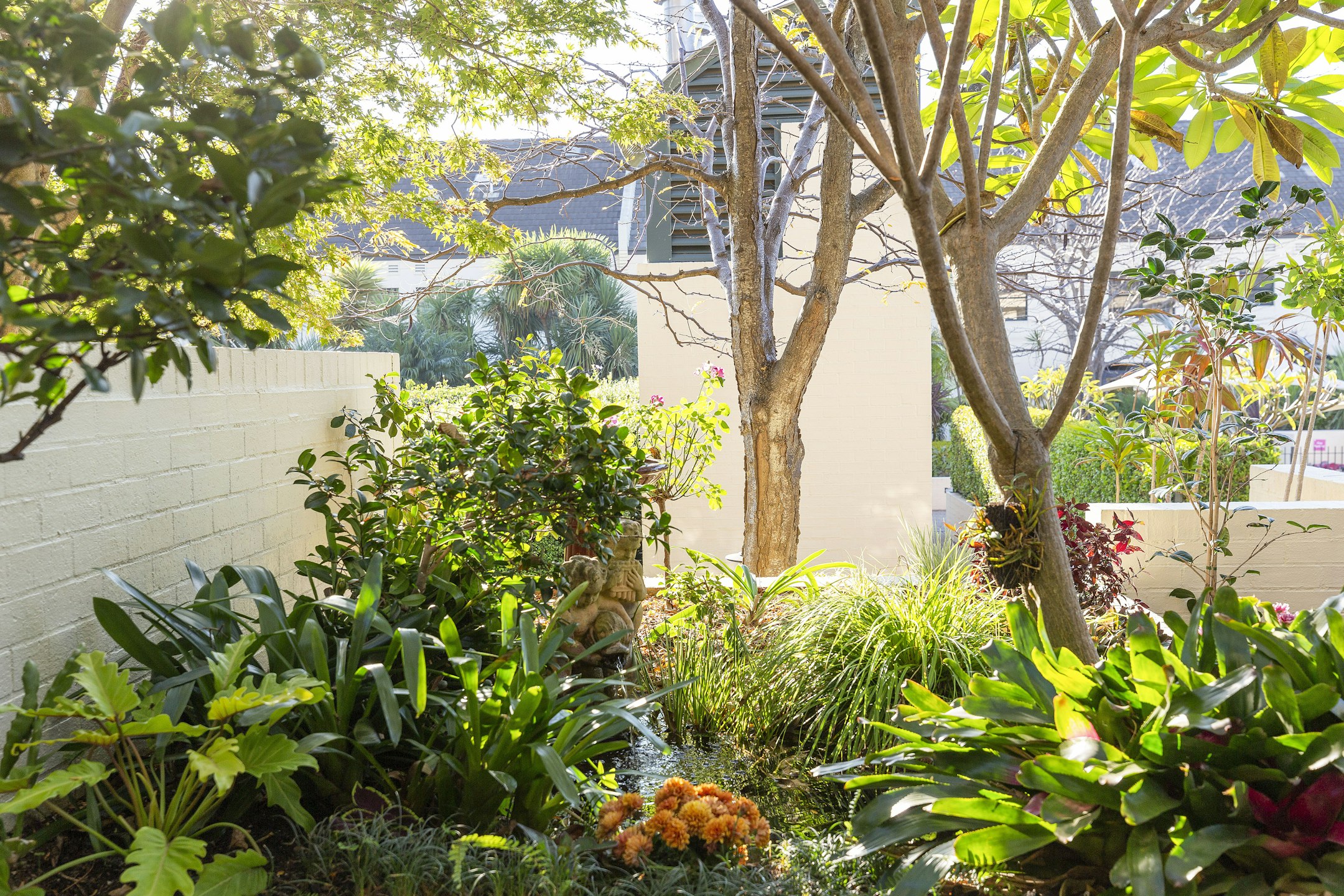 garden